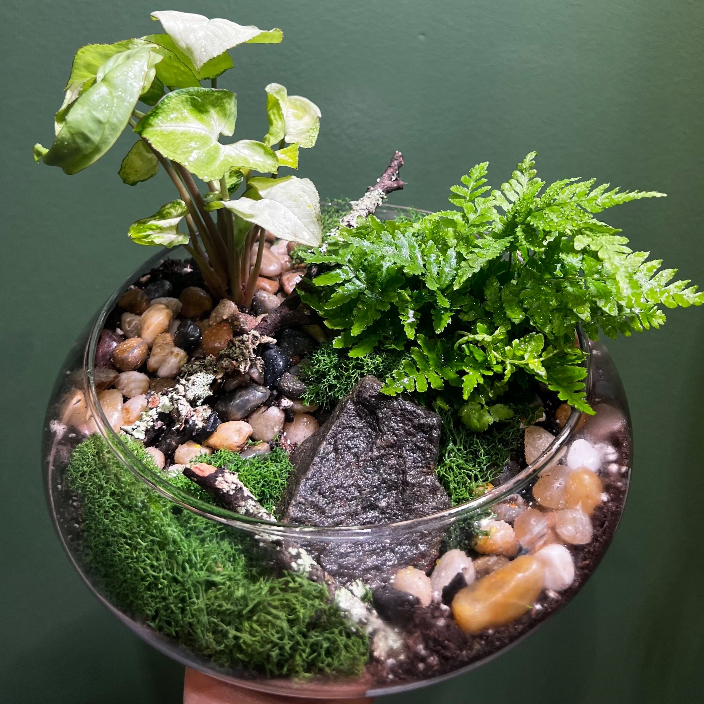 Terrarium Bar Package