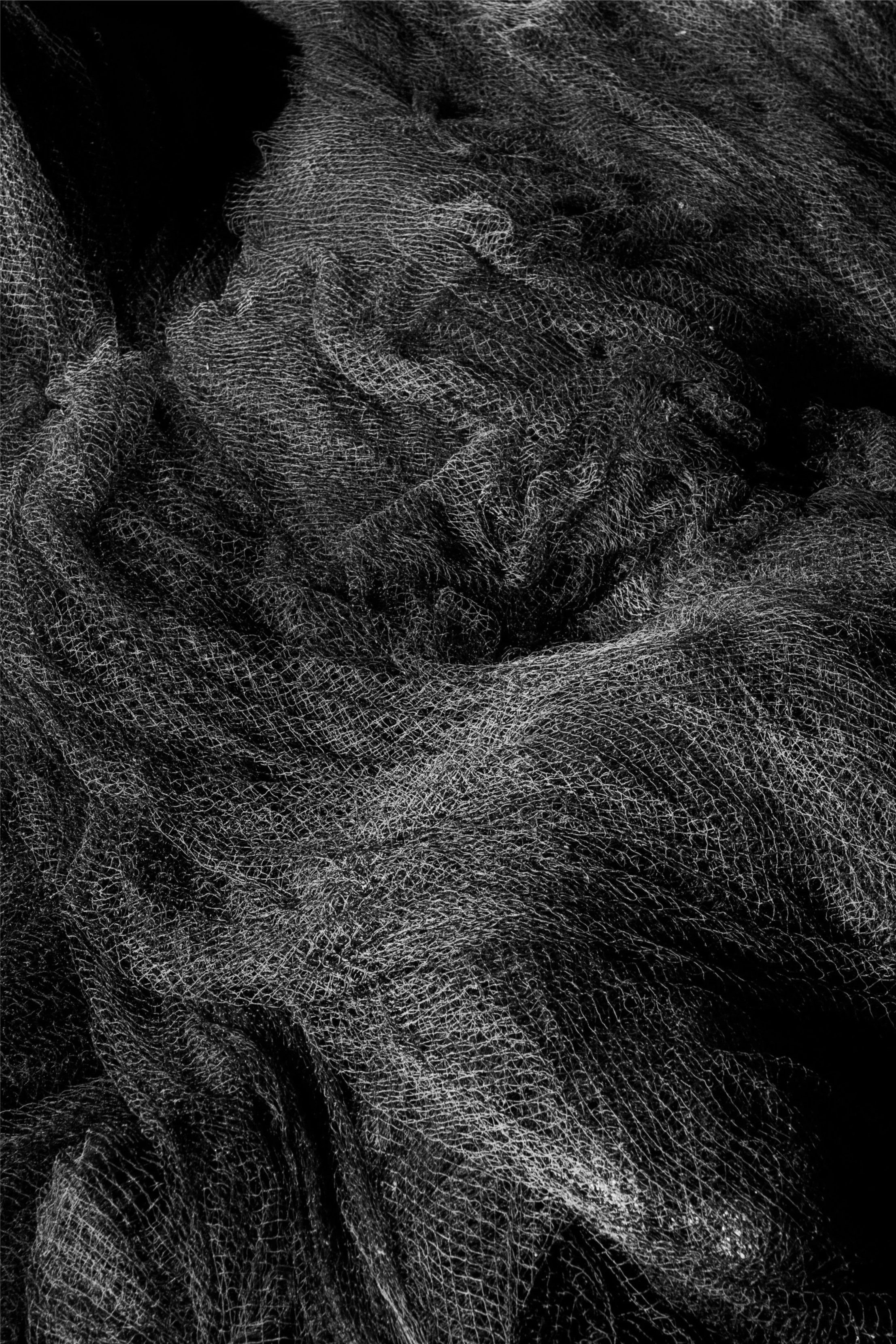 DSCF5853.jpg
