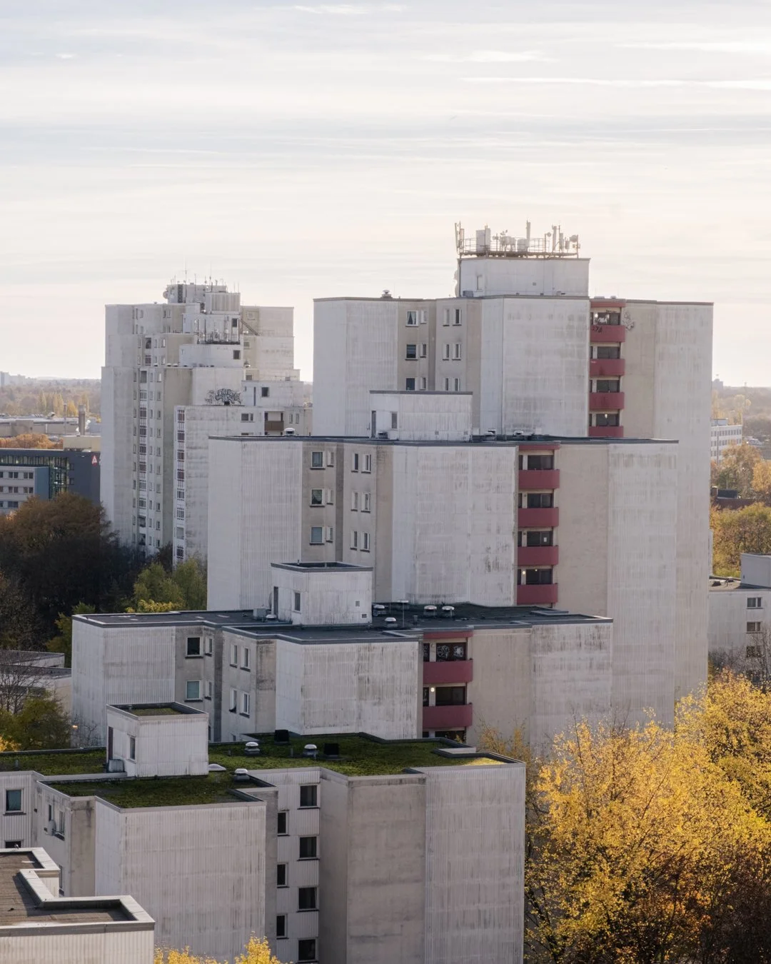 DSCF4952.jpg