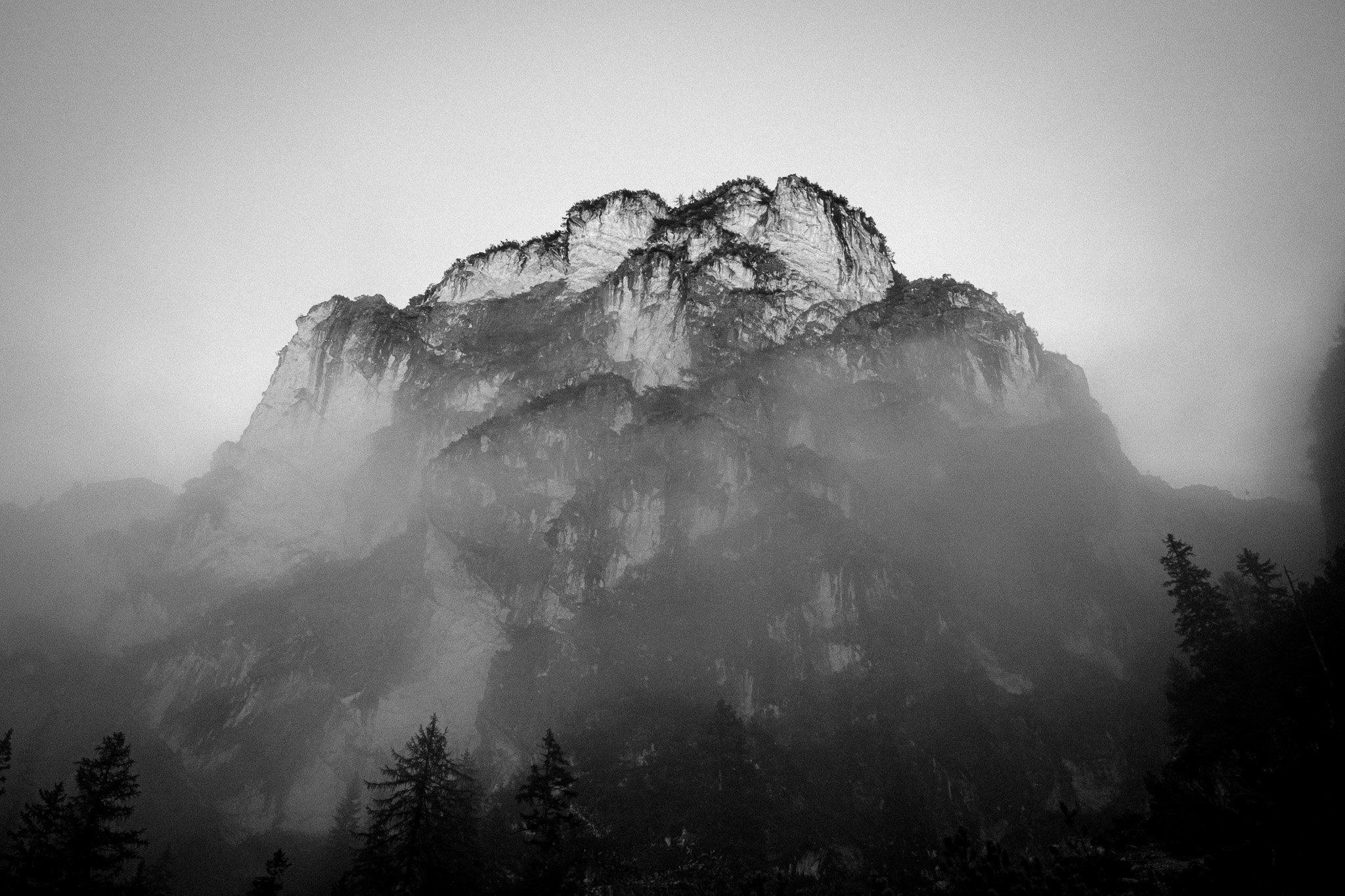 DSCF5460-3.jpg