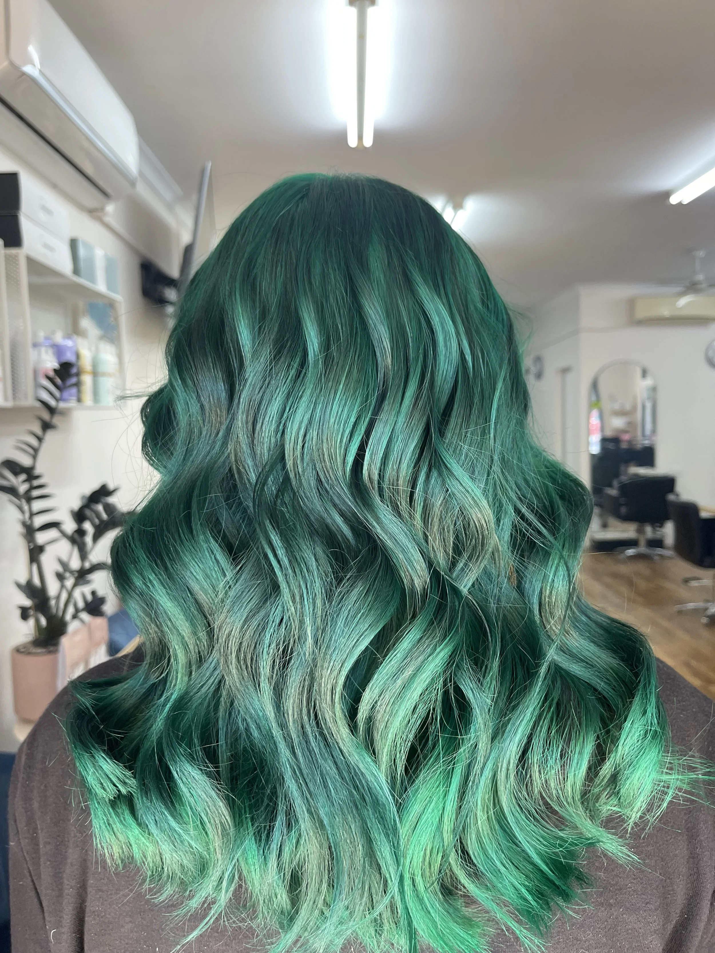 Mobile hairdressing Perth vivid