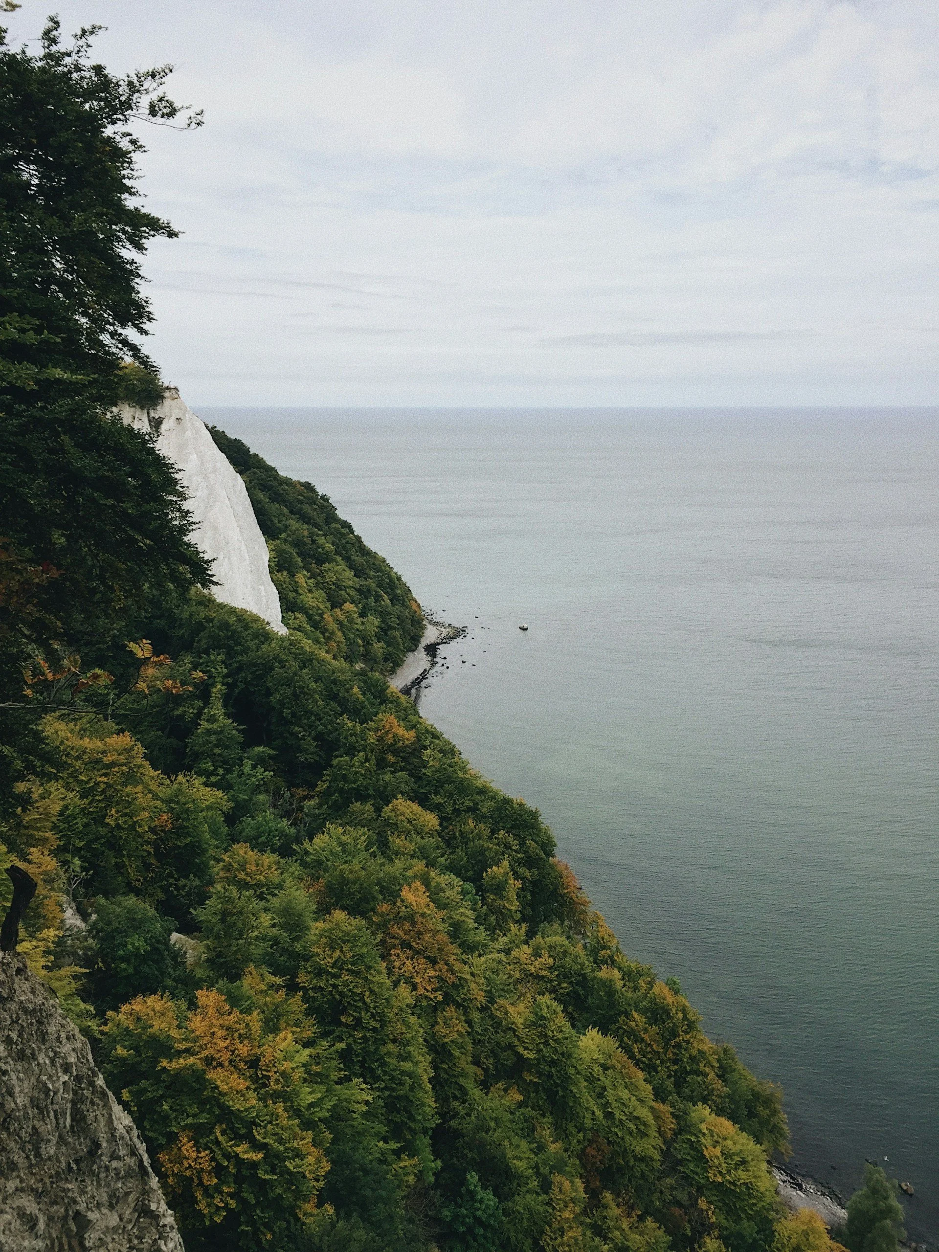 HIer ist der weiße Kalkstein des Kreidefelsens auf der Insel Rügen zu sehen