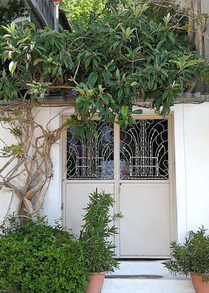decorative-front-door-design-taupe-colour