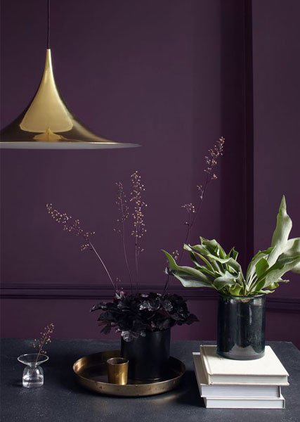violet-purple-plum-wall-paint-rich