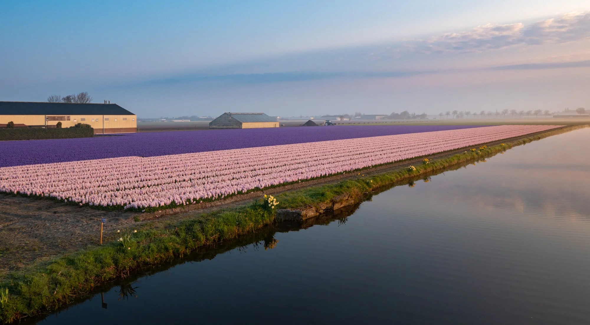 Flower.nl-4.jpg