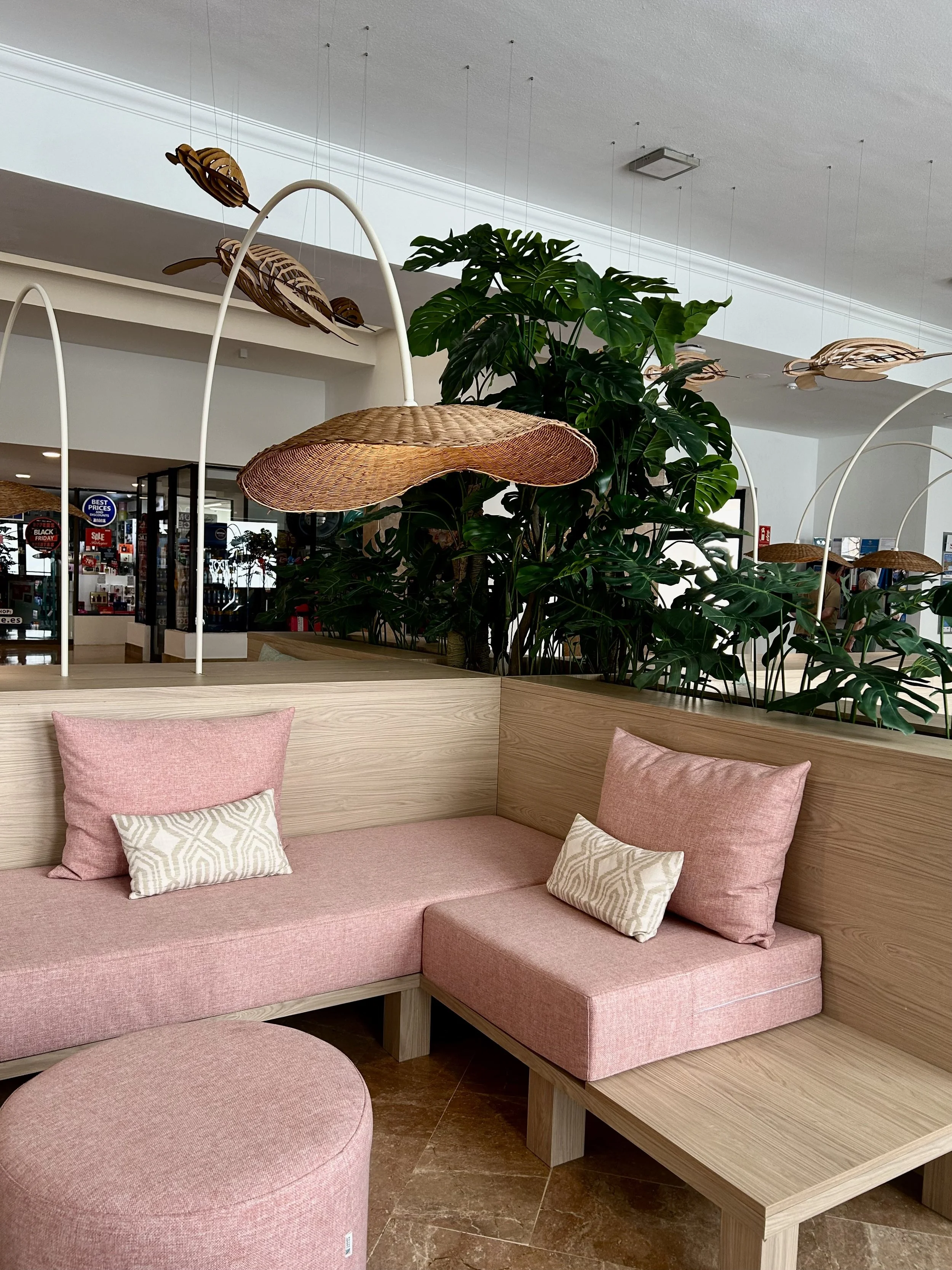 Photo 24-11-2024, 11 07 18.jpg