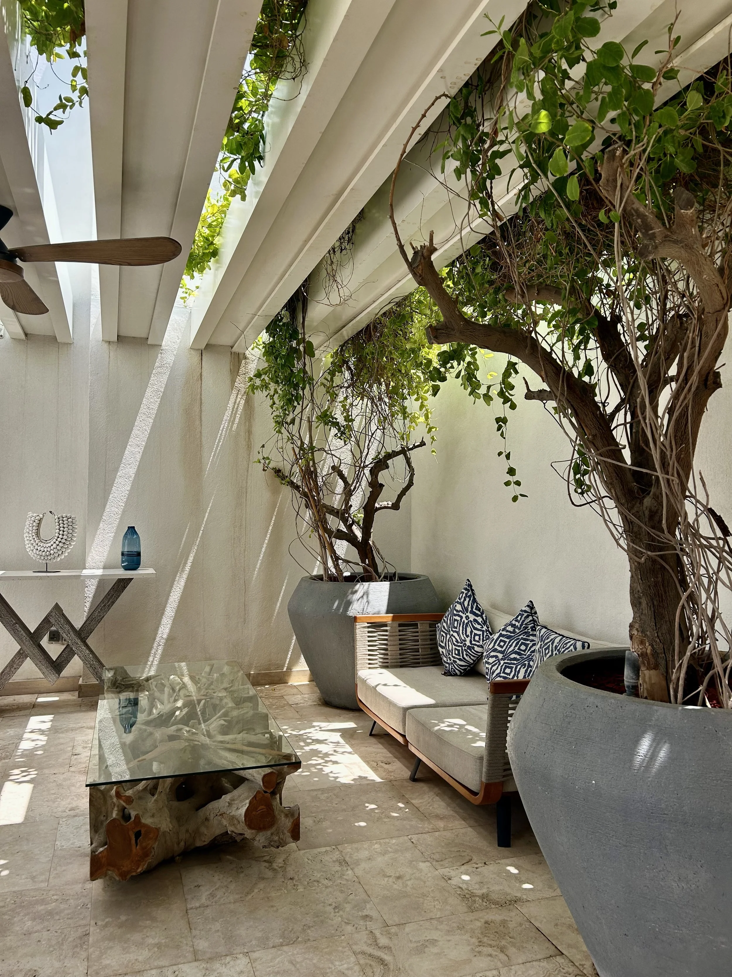 Photo 18-04-2024, 11 37 28.jpg