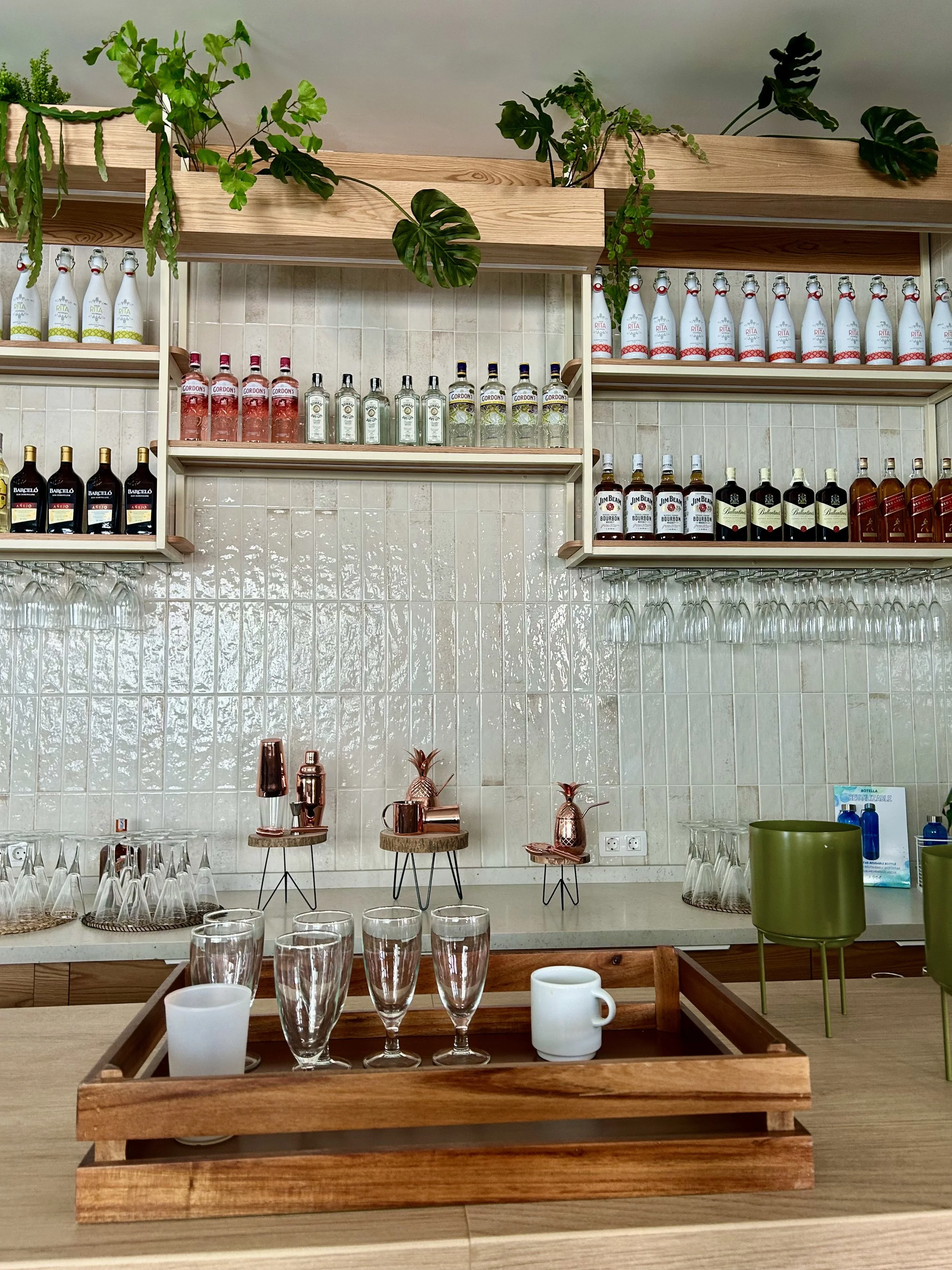 Photo 24-11-2024, 11 06 24.jpg