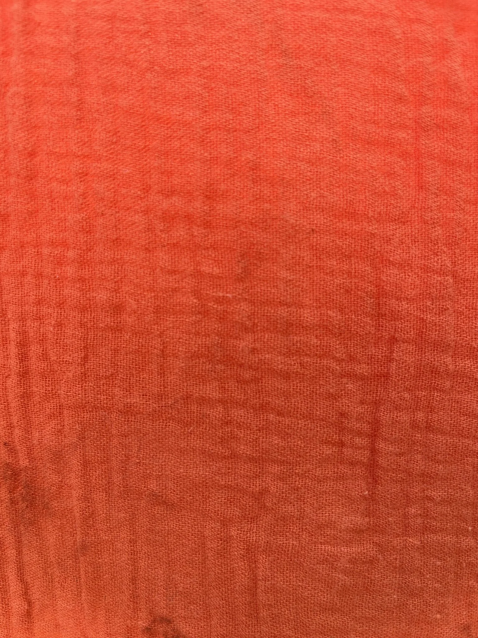 IMG_3007.jpeg