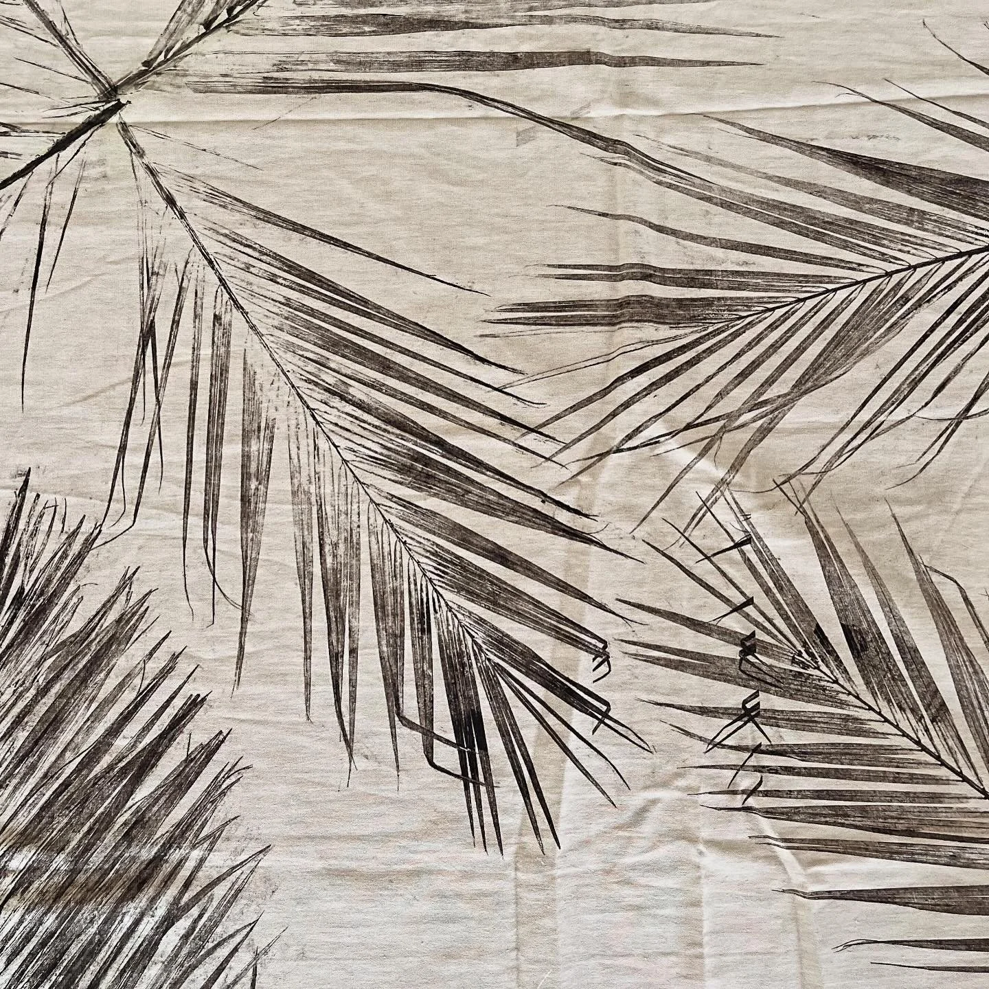 Nayarit Collection 🌴🌴 large palms leave shadows  you see on the streets, the casas, the beaches. Pure beauty 🌴