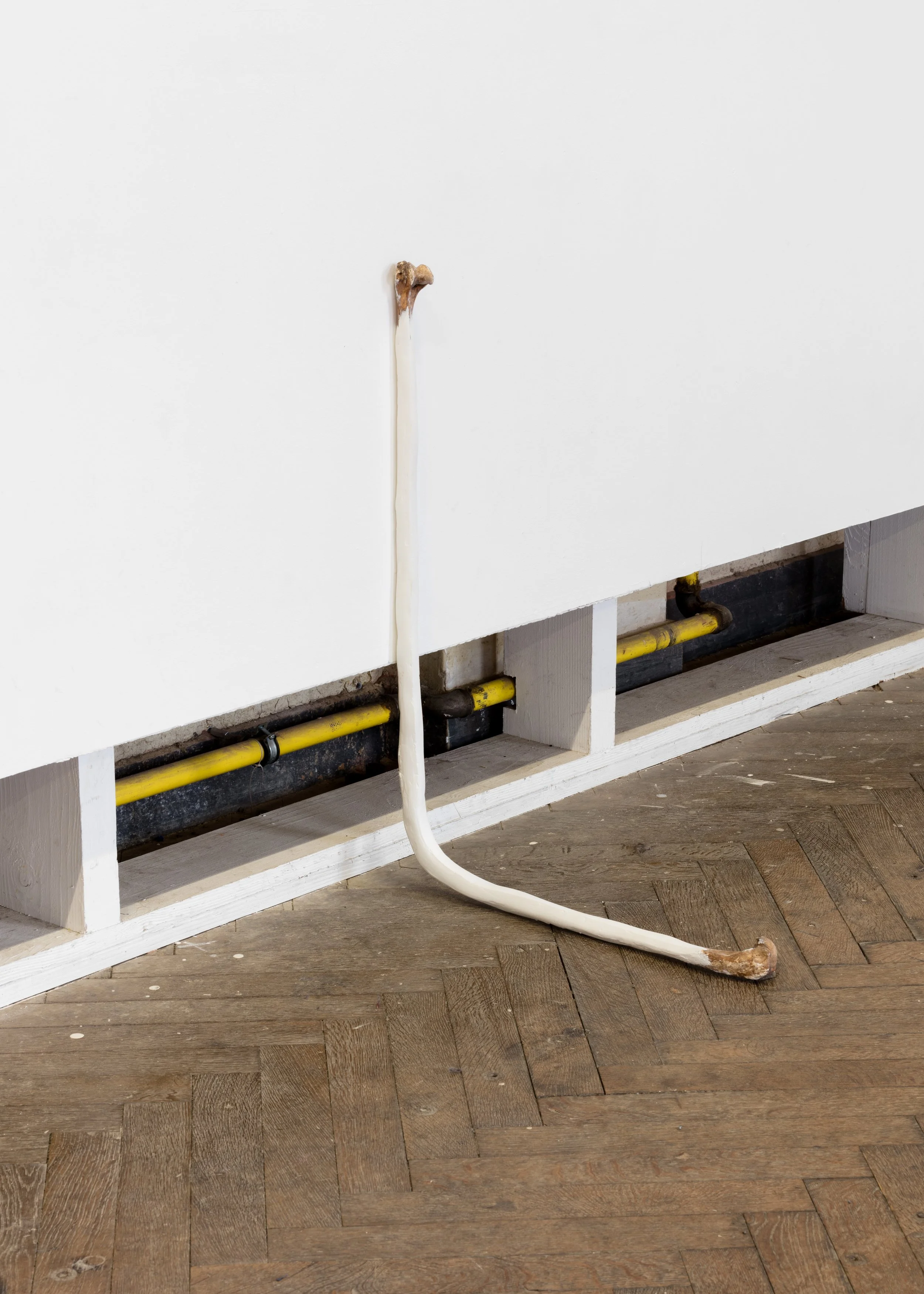 Bone extension - Hannelore van Balkom - Weerlicht