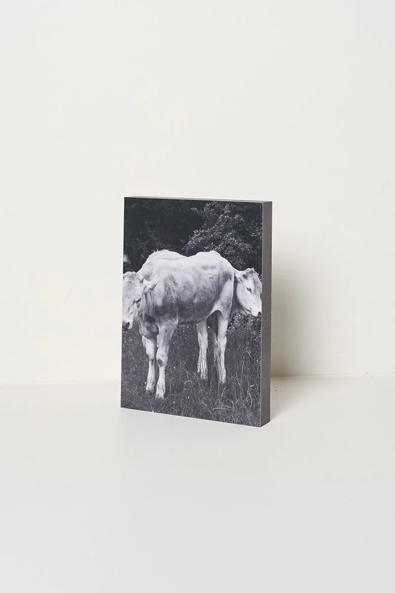 1564 - Alexander Popelier - Tangible - Weerlicht