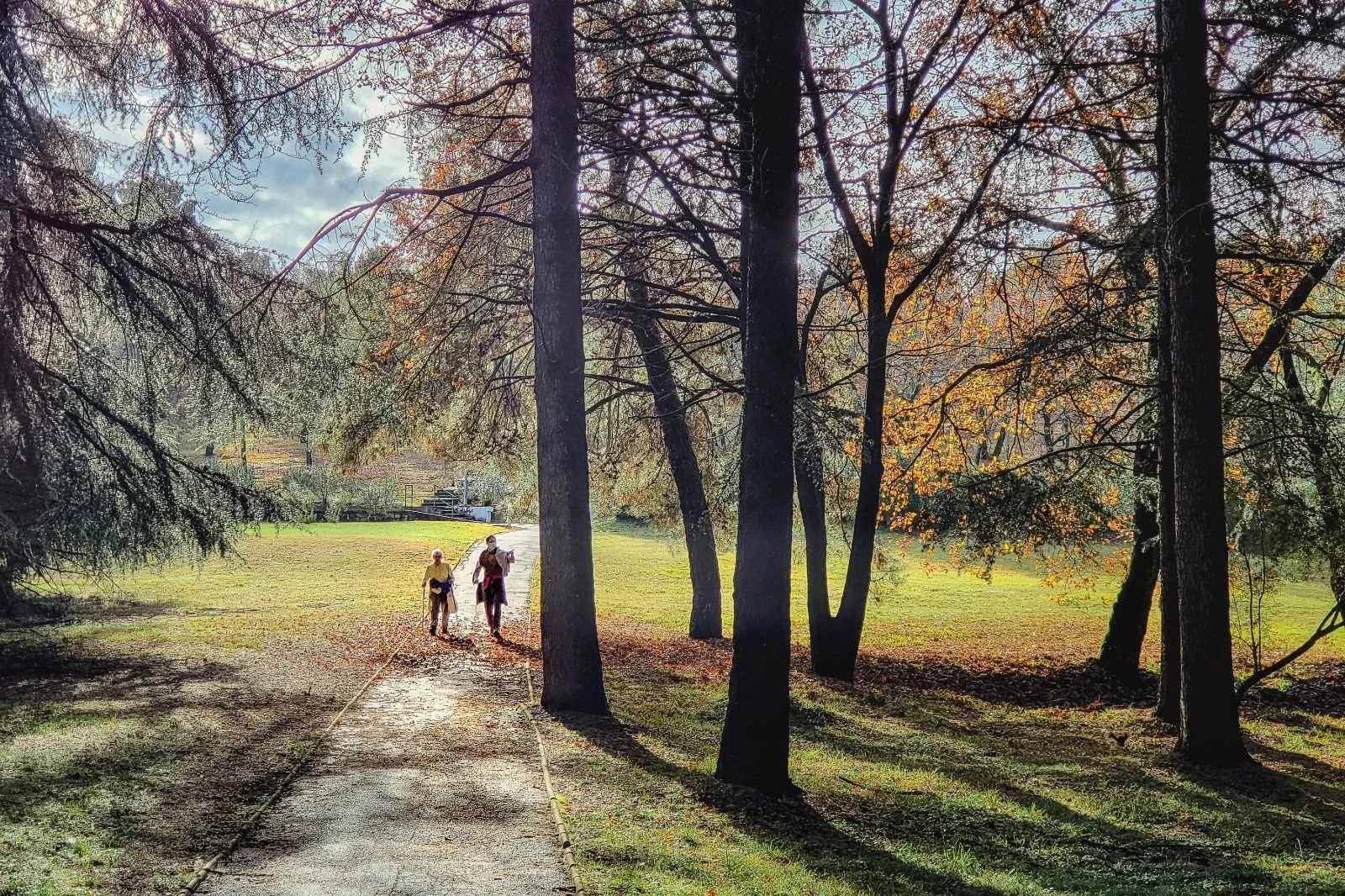 How Childhood Trauma Can Complicate Grief and How EMDR Therapy Can Help