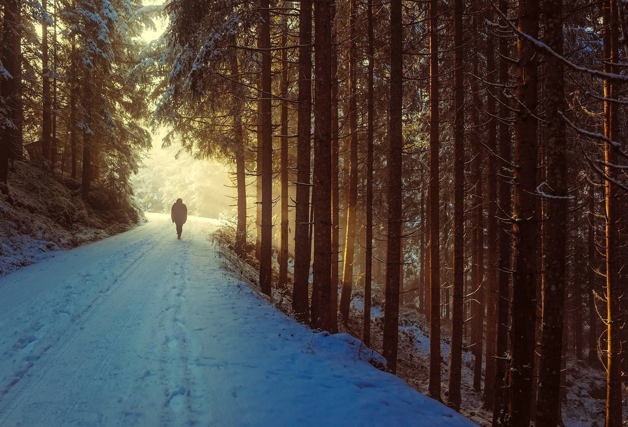 Using Nature And Ecotherapy To Support Depression Treatment And Discuss How IFS Therapy Can Help Clients Identity Their Own Parts While In Nature