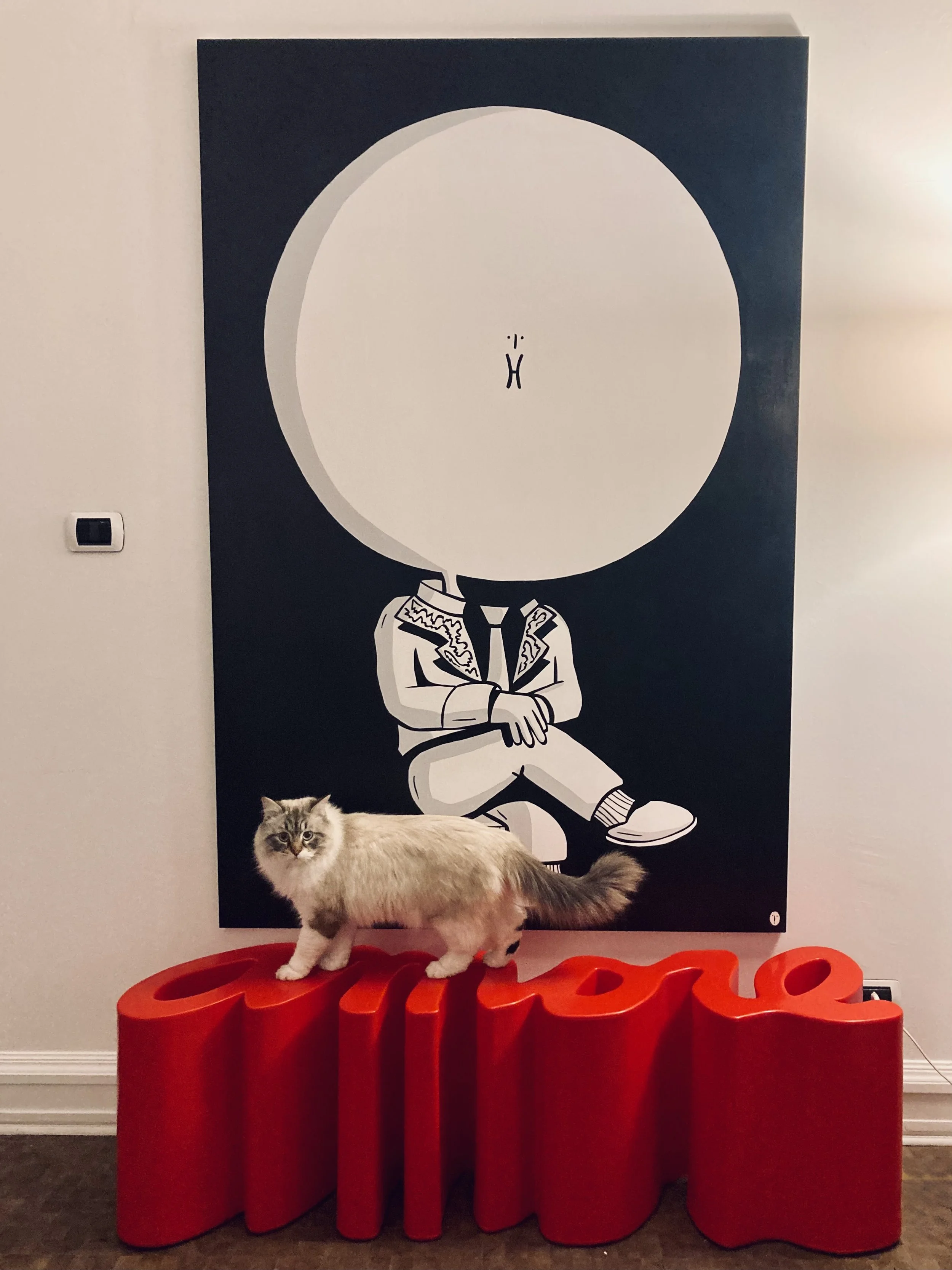 Pallone Gonfiato #1 con gatto