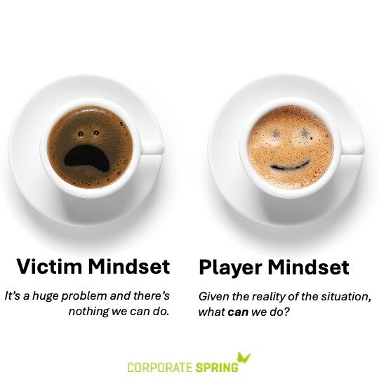 Victim or Player Mindset? The Culture Choice We Make.