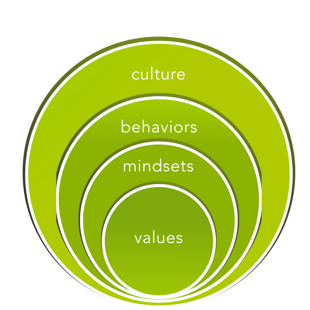 Corporate Spring Culture Shaping Diagram illustrating how values, mindsets, behaviours and culture are influencing each other.