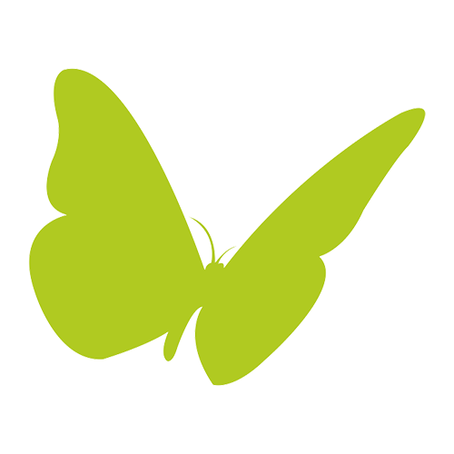 Green butterfly silhouette on a black background.