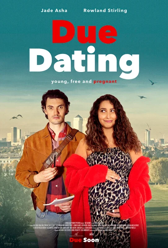 Movie poster for 'Due Date,' featuring a man with a briefcase and a woman with curly hair in a leopard print dress and red coat, standing against a cityscape background with birds flying.