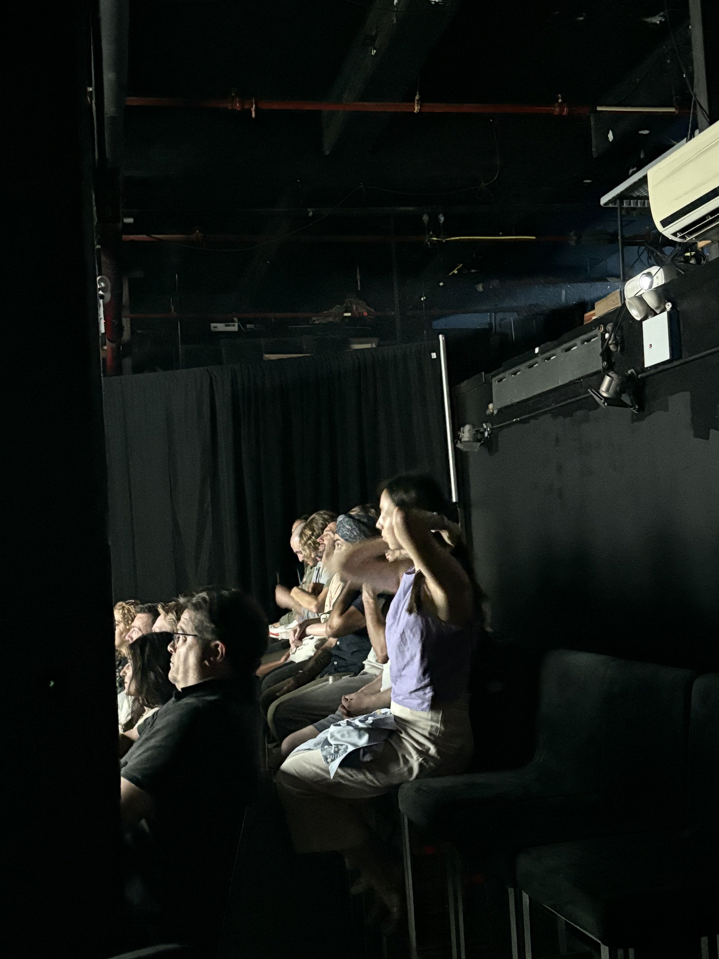 People sitting in a dark theater or auditorium, some appear to be watching a performance or presentation.