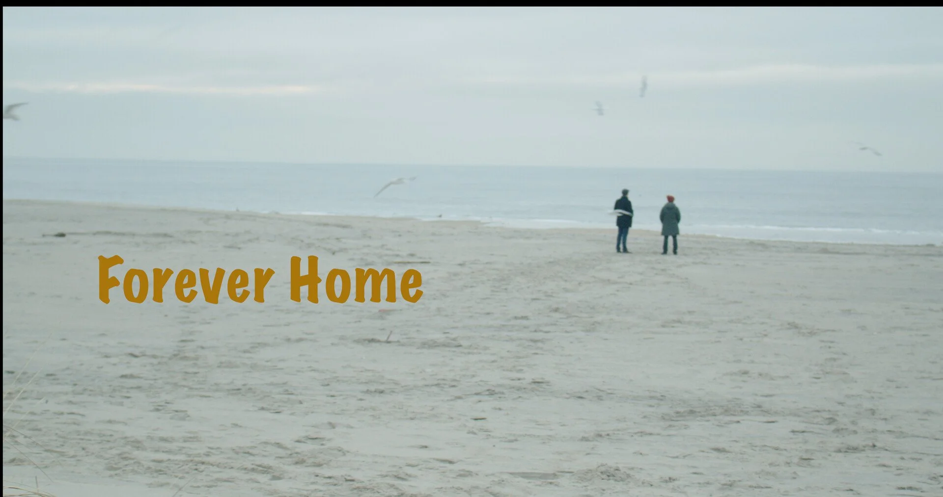 A beach scene with two people standing near the shoreline and seagulls flying overhead. The words "Forever Home" appear in large, orange text on the left side of the image.