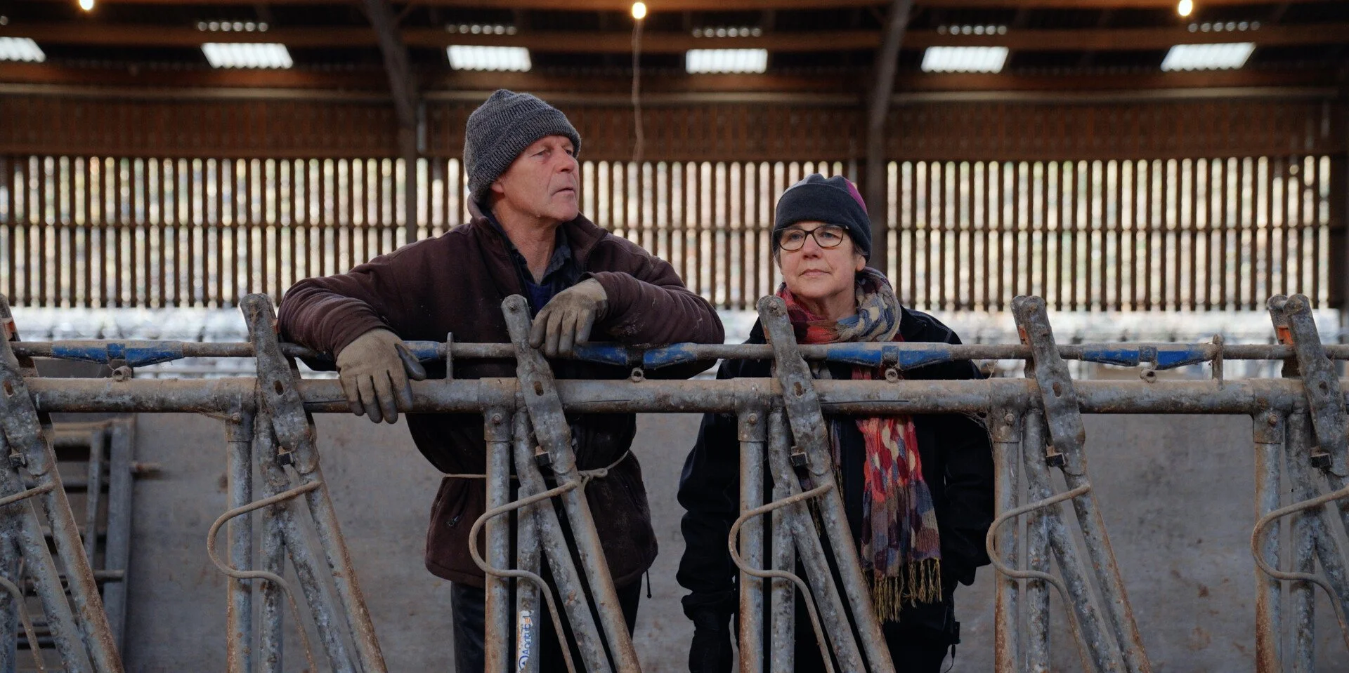A man and woman wearing winter clothing, including hats and gloves, standing inside a barn or stable, leaning on metal fence-like structures.