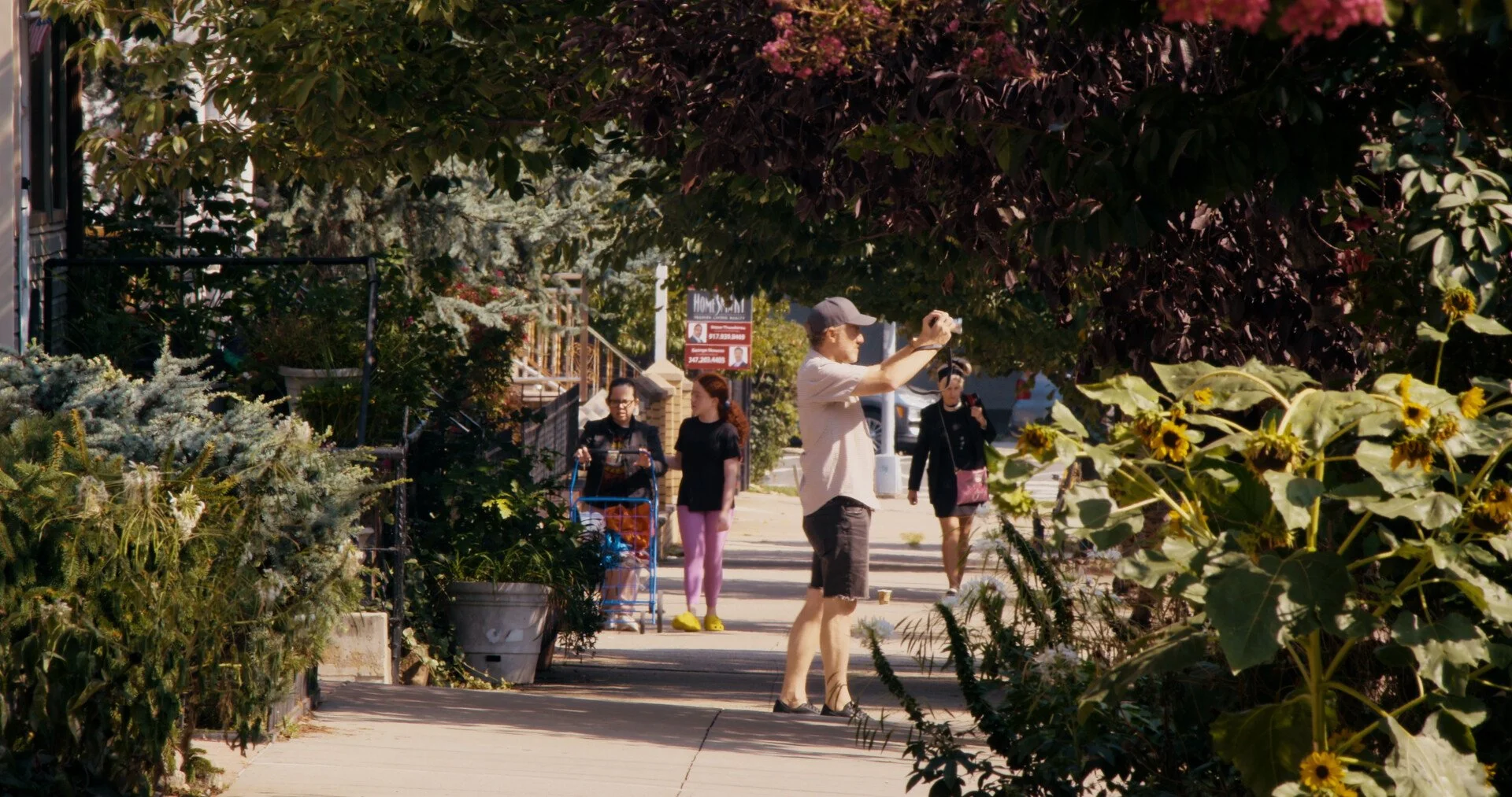 People walking along a sidewalk under trees, one person taking a photo with a camera, others walking with shopping carts and bags, sunflowers and plants lining the path.