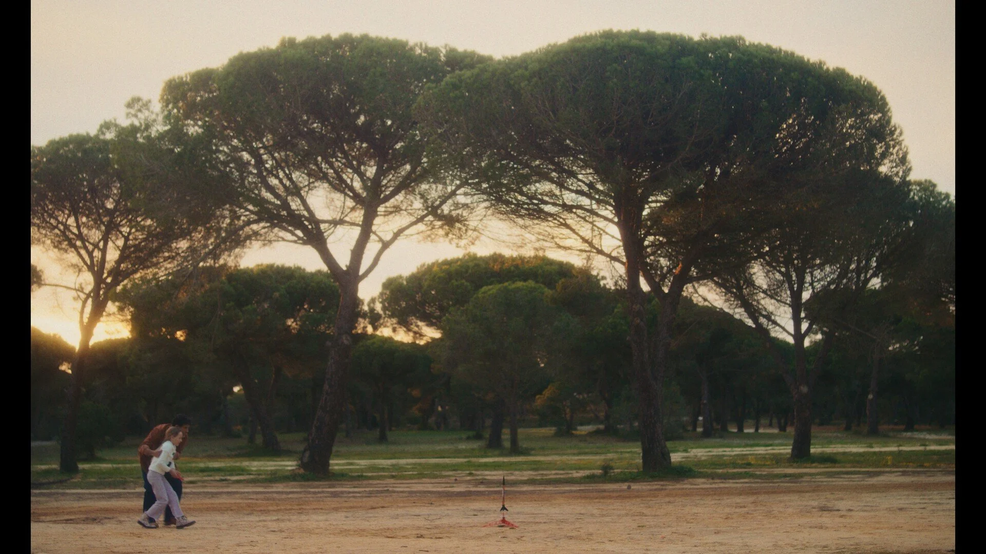 A couple, a man and a woman, standing on a dirt path in a park with large trees in the background during sunset.