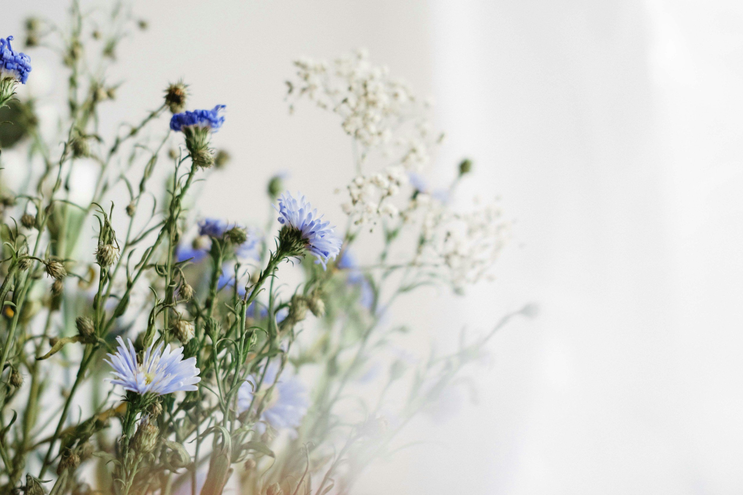 In Seasons of Transition: Five Signs of Anxiety & Five Ways to Cope