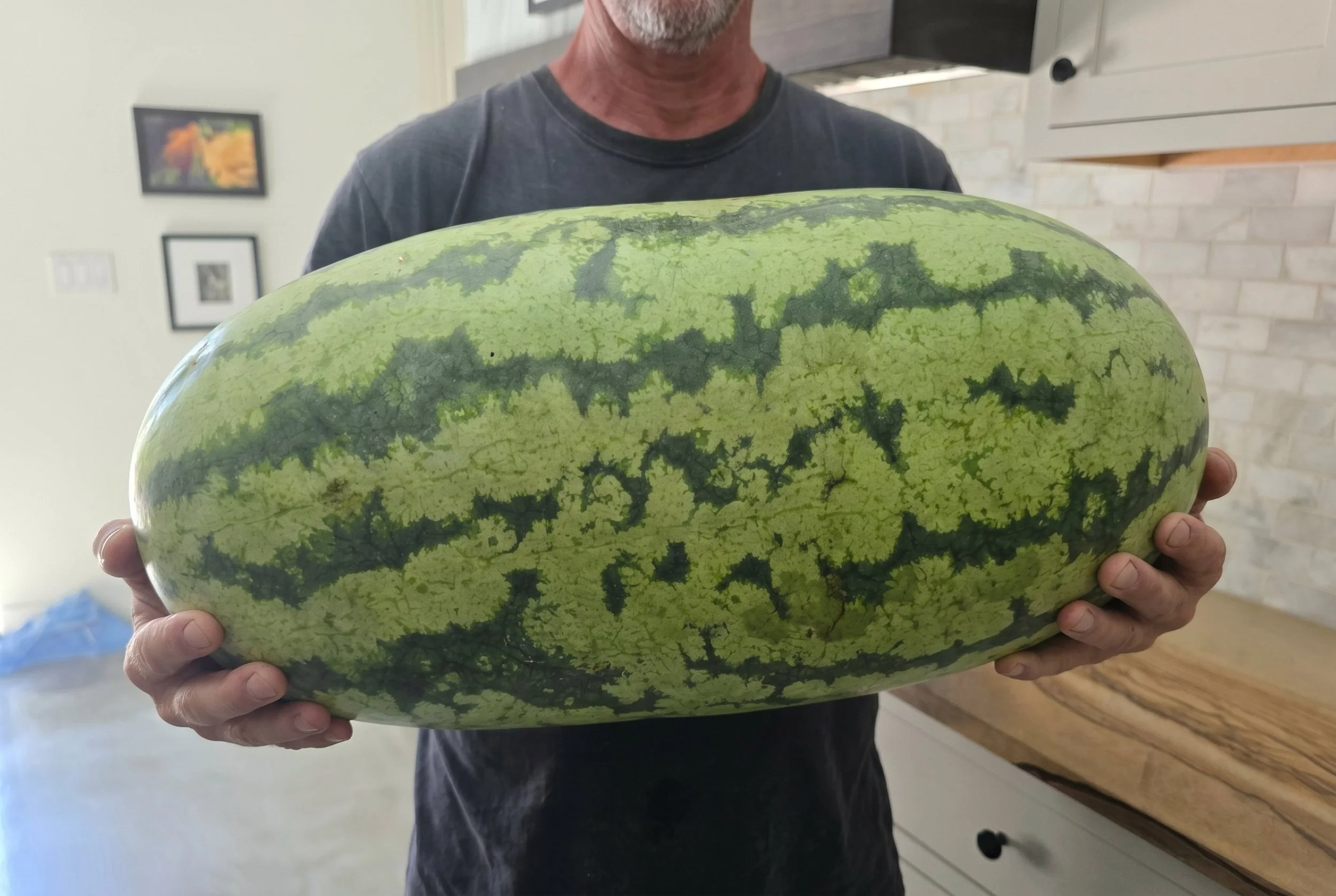 One of scores of juicy watermelons from the 2025 garden harvest