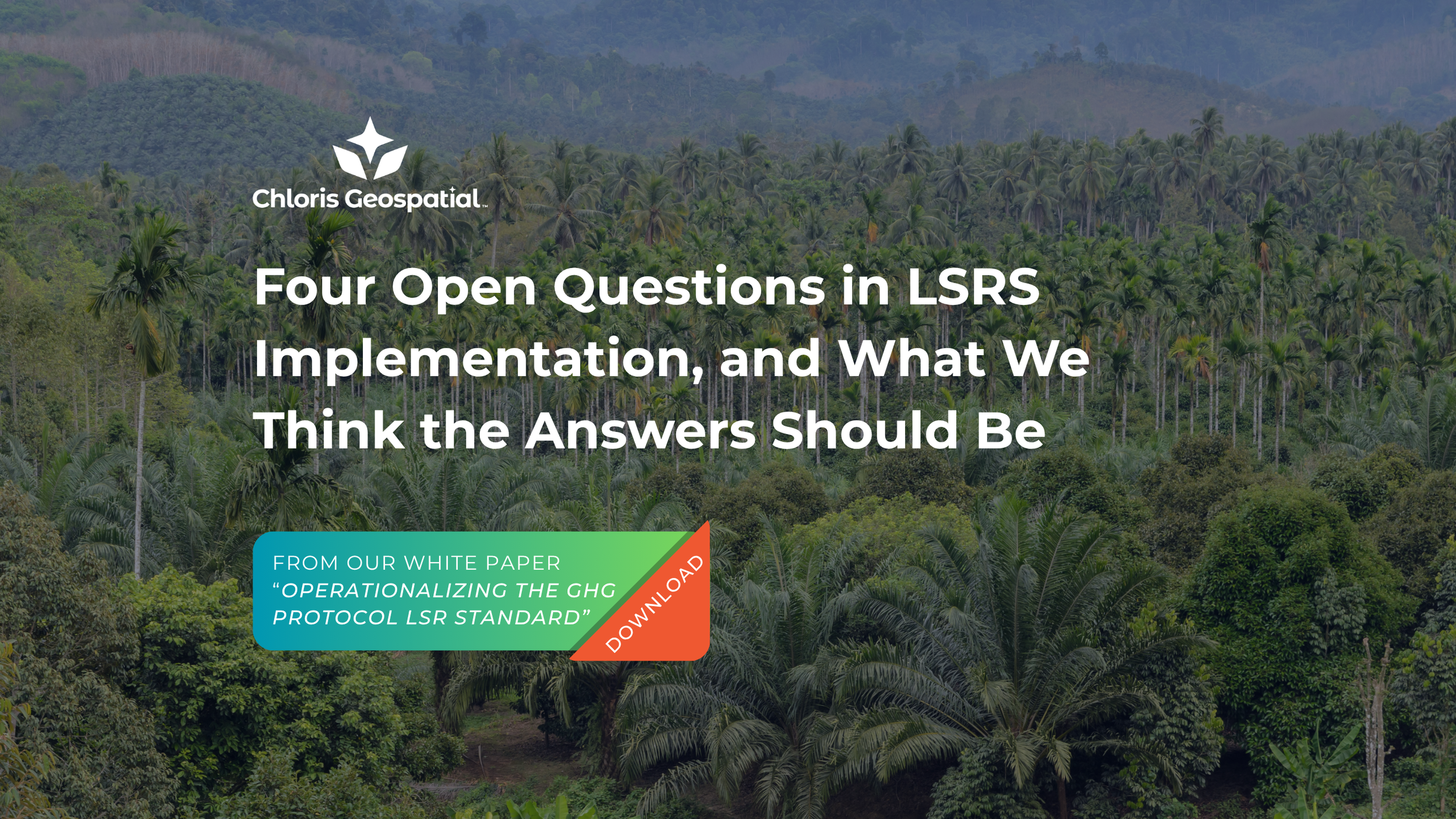 Four Open Questions in LSRS Implementation, and What We Think the Answers Should Be