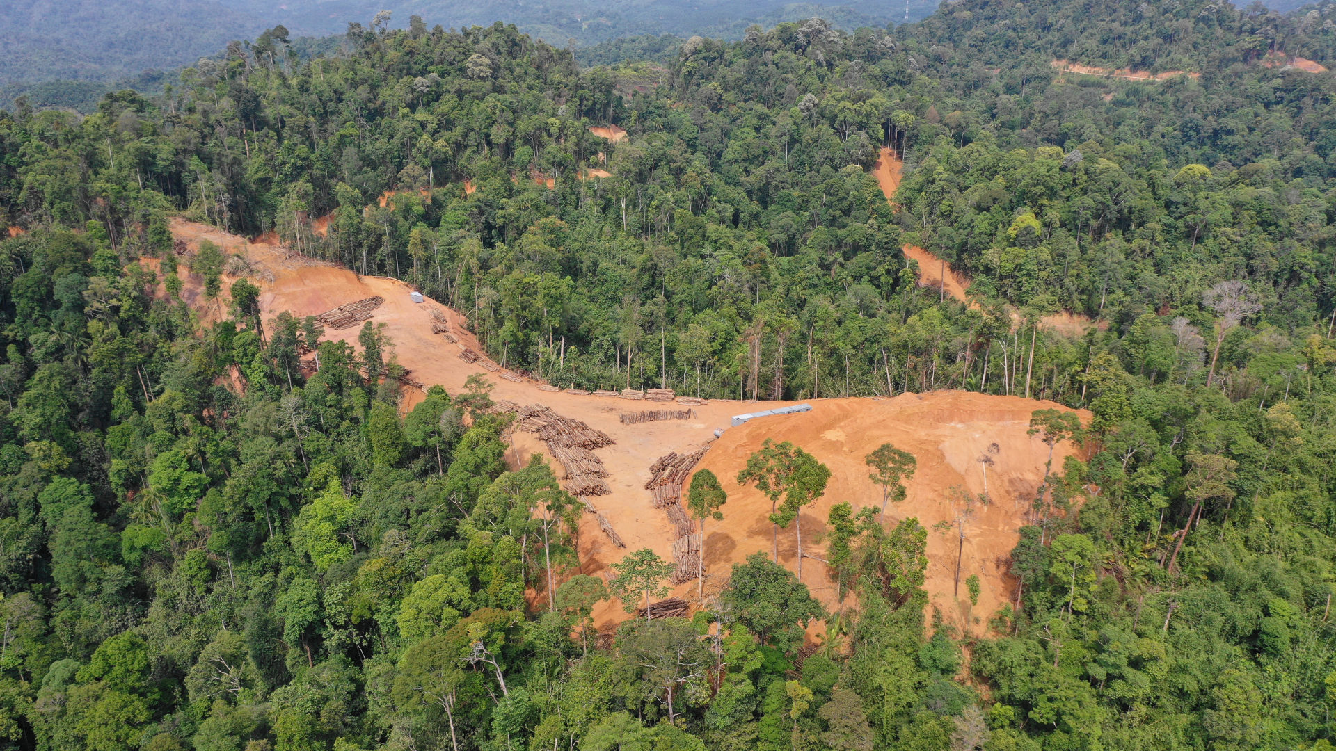 Financial Institutions Need a Geospatial Lens on Deforestation Risk