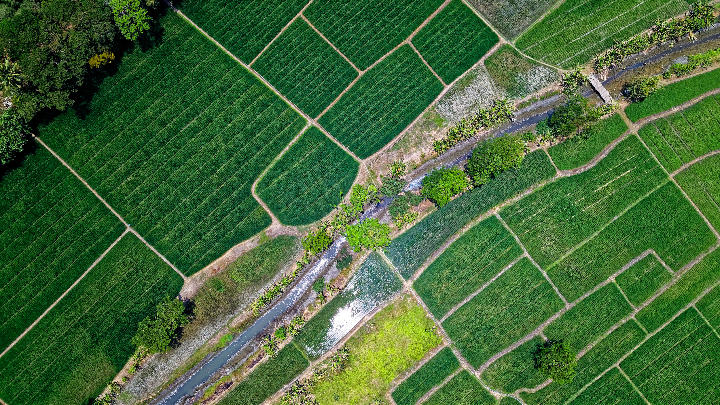 The new Net-Zero Standard makes room for landscape-scale action provided you can measure it