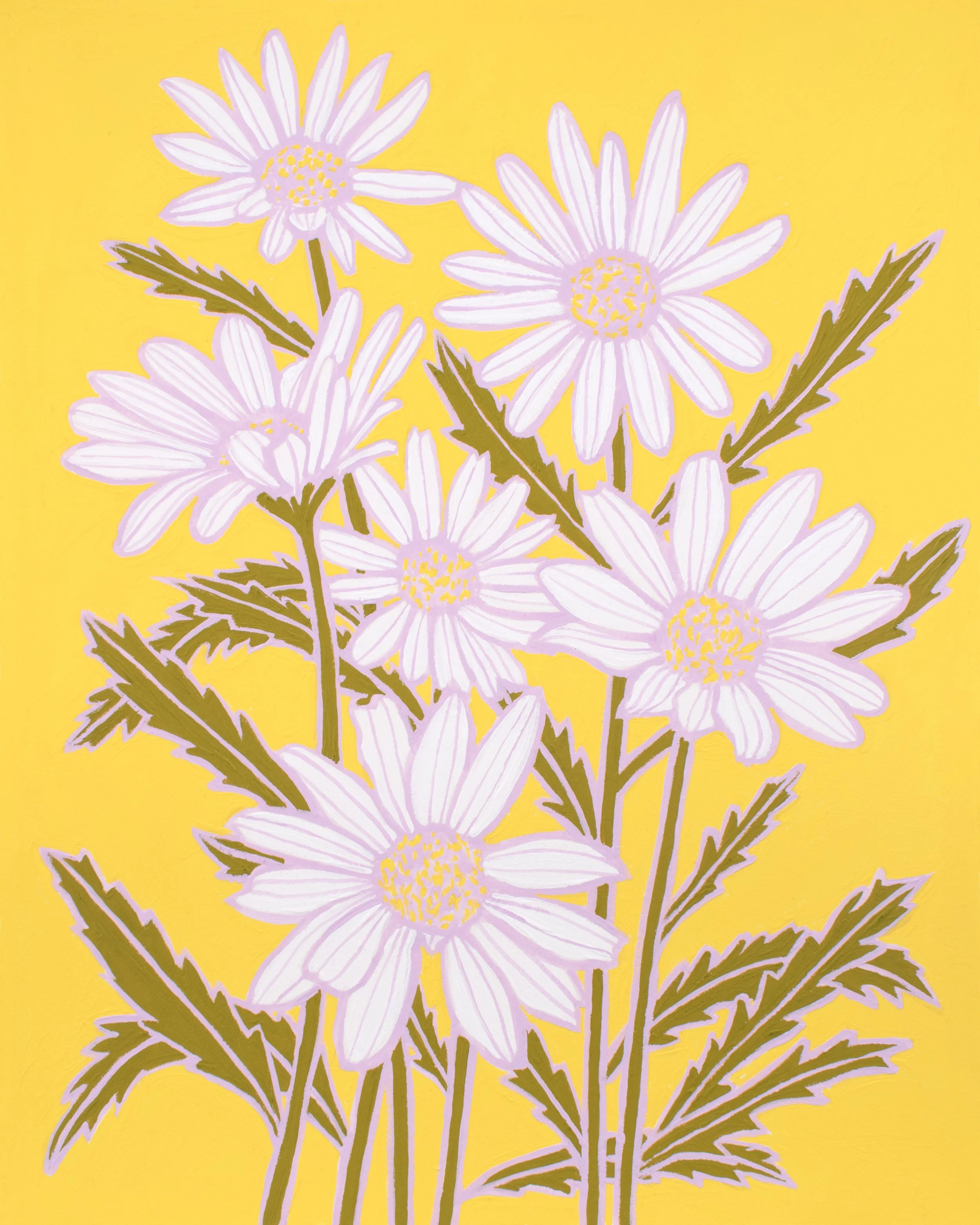 illustration_daisy_D5600_May2025.jpg