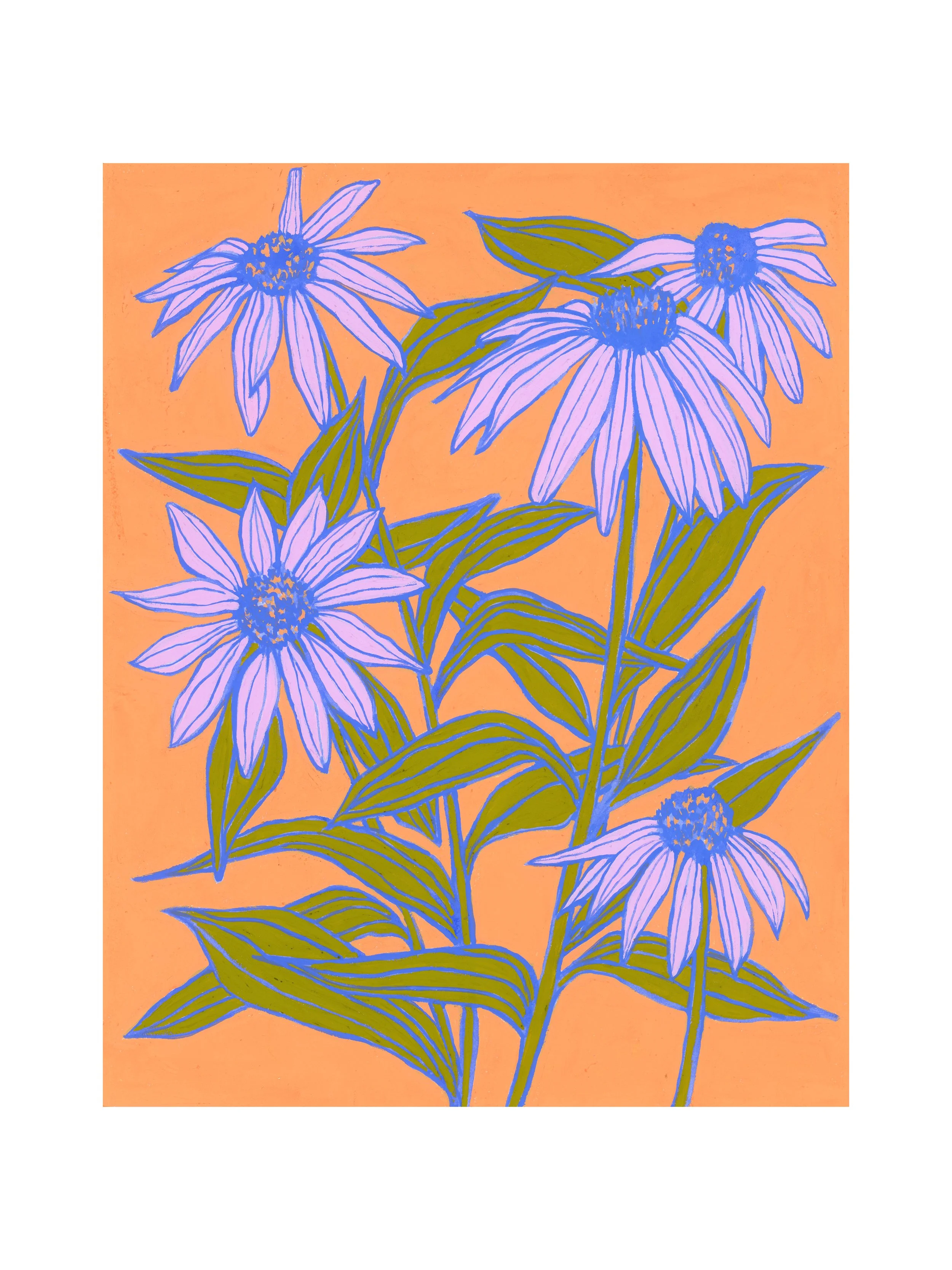 Coneflowers (for Edie)