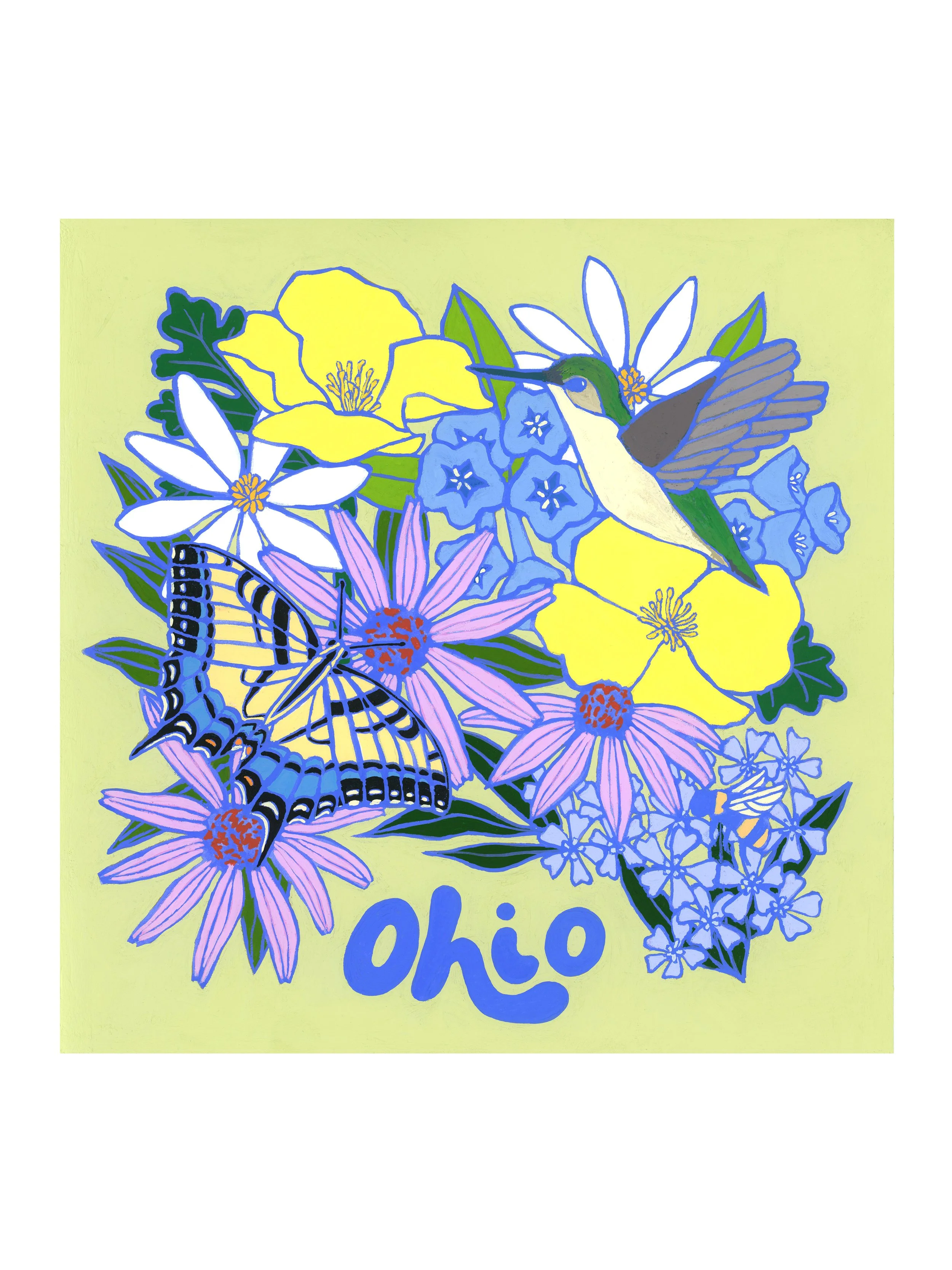 product_OhioWildflowers_whitebackground_4x3.jpg