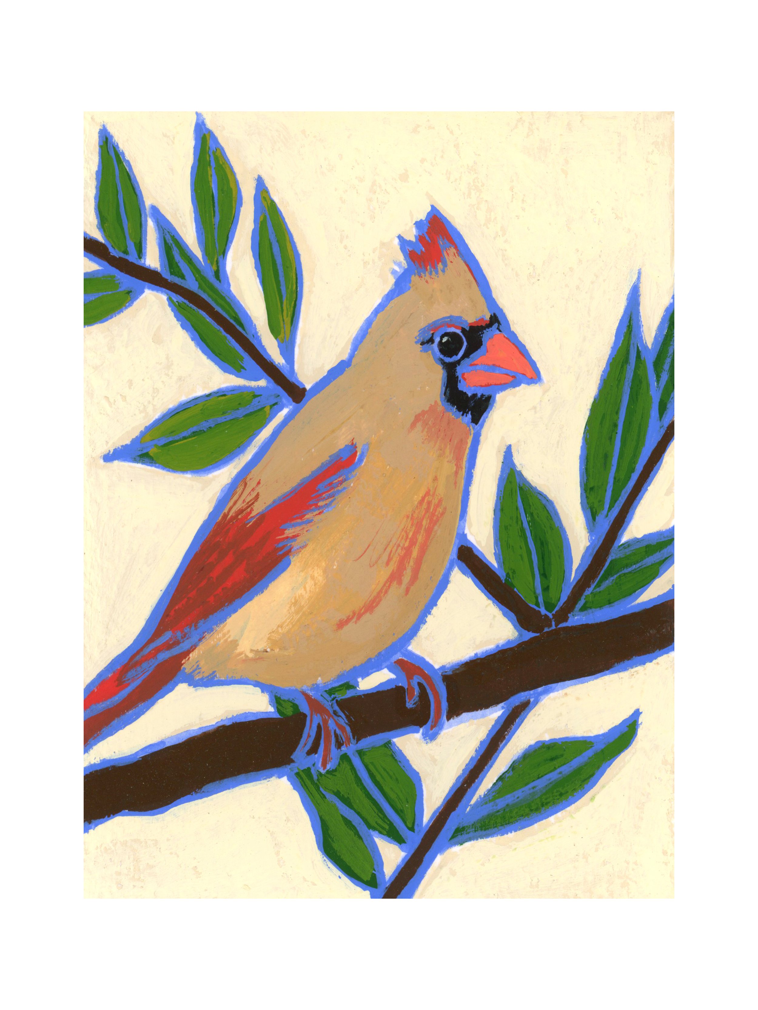 Cardinal (female)