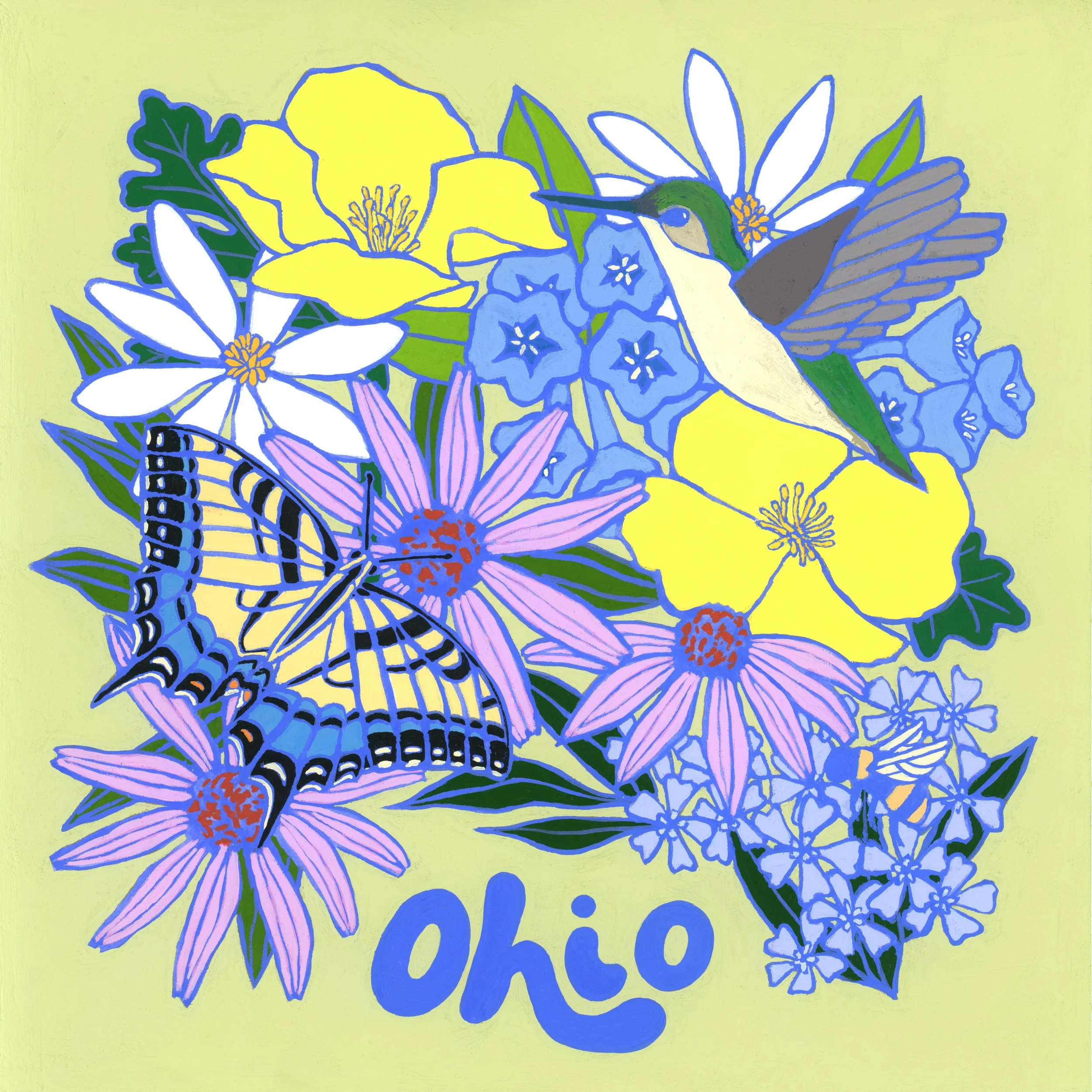 illustration_OhioWildflowers_scan_June2026.jpg