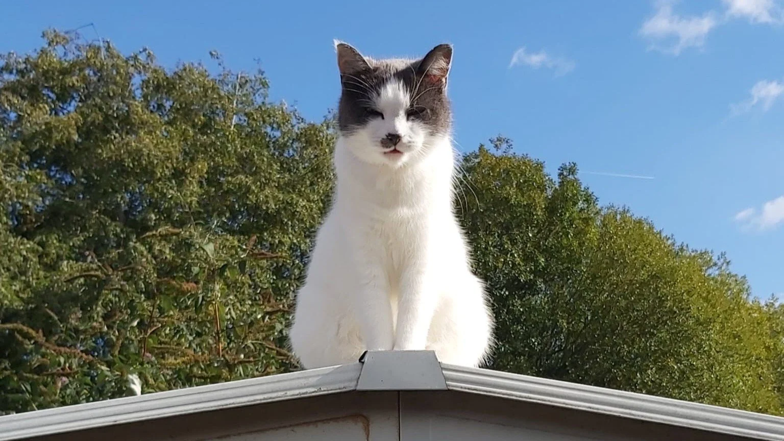 Meet Maryln