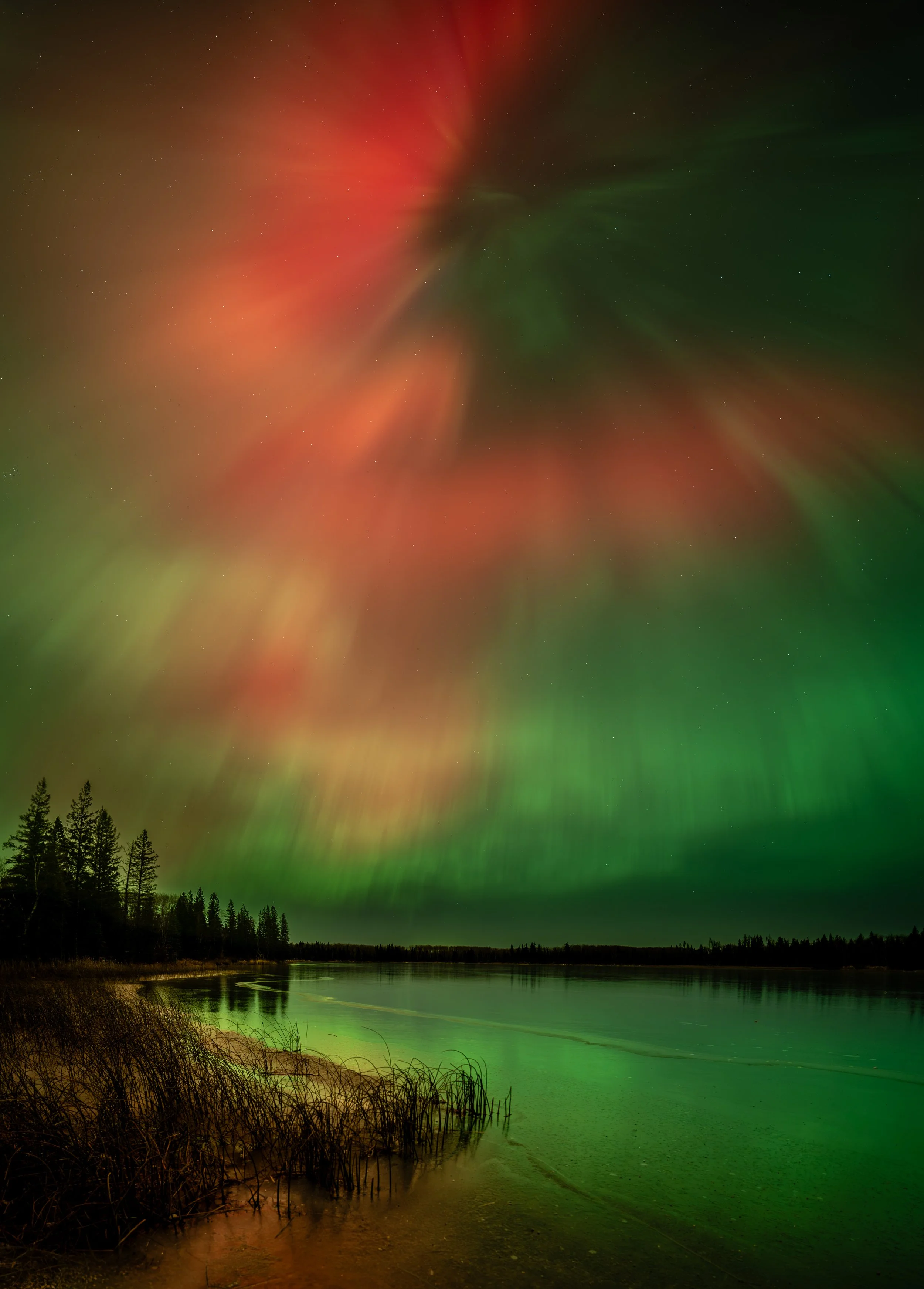 New Aurora