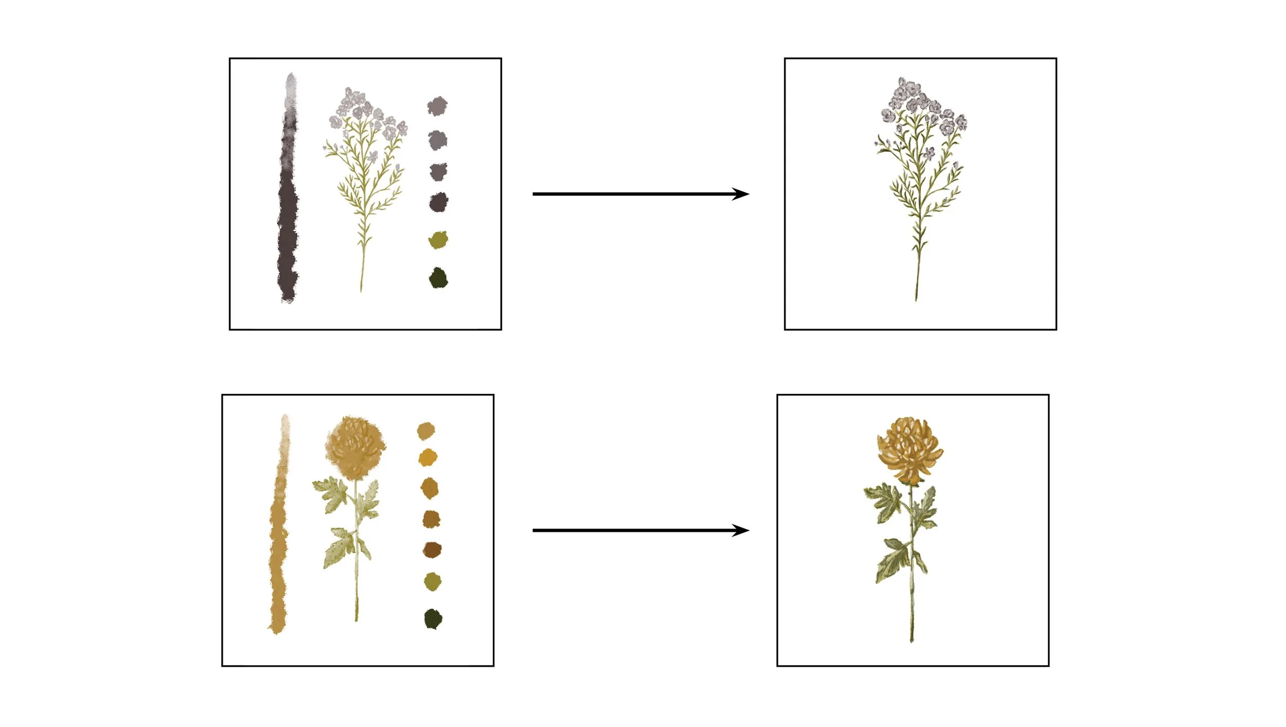 Garden Party Flower Illustrations