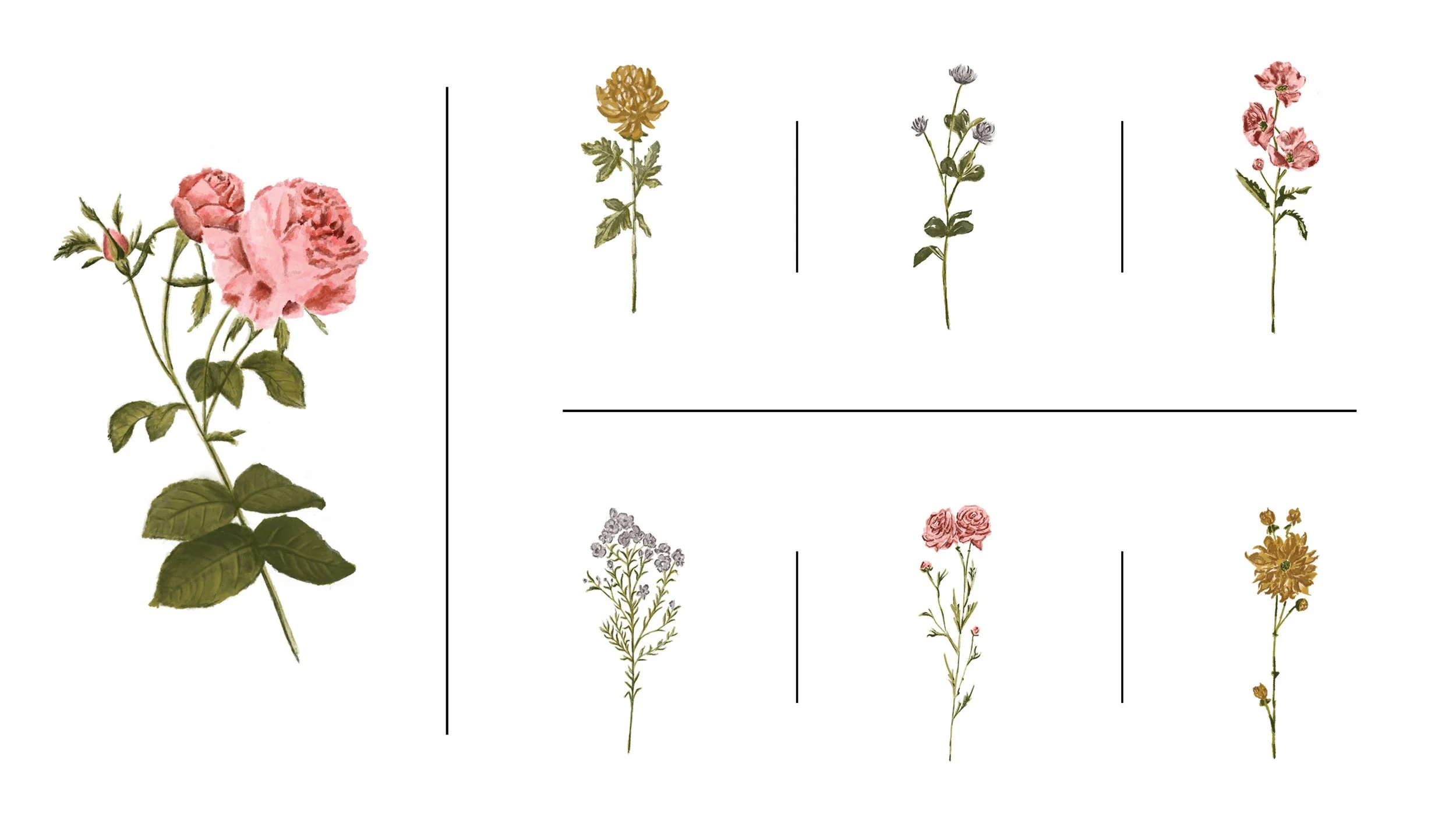 Garden Party Illustrations