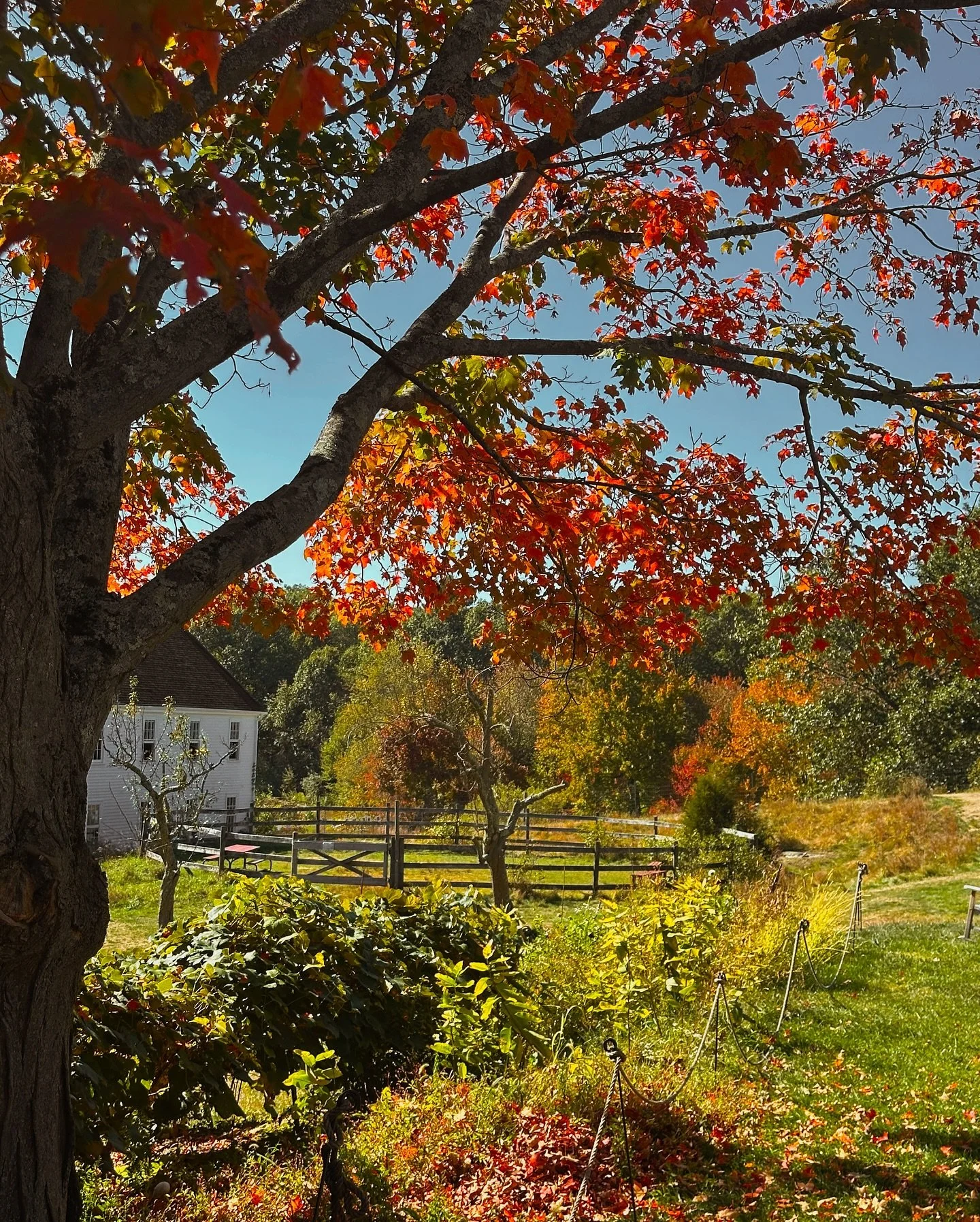 my camera roll the first weekend of October is all crunchy leaves, county fair, and pumpkins 🎃 happy monday! are you excited for the week ahead or already planning for the weekend? It’s looking like a long work week & I’m going to VT