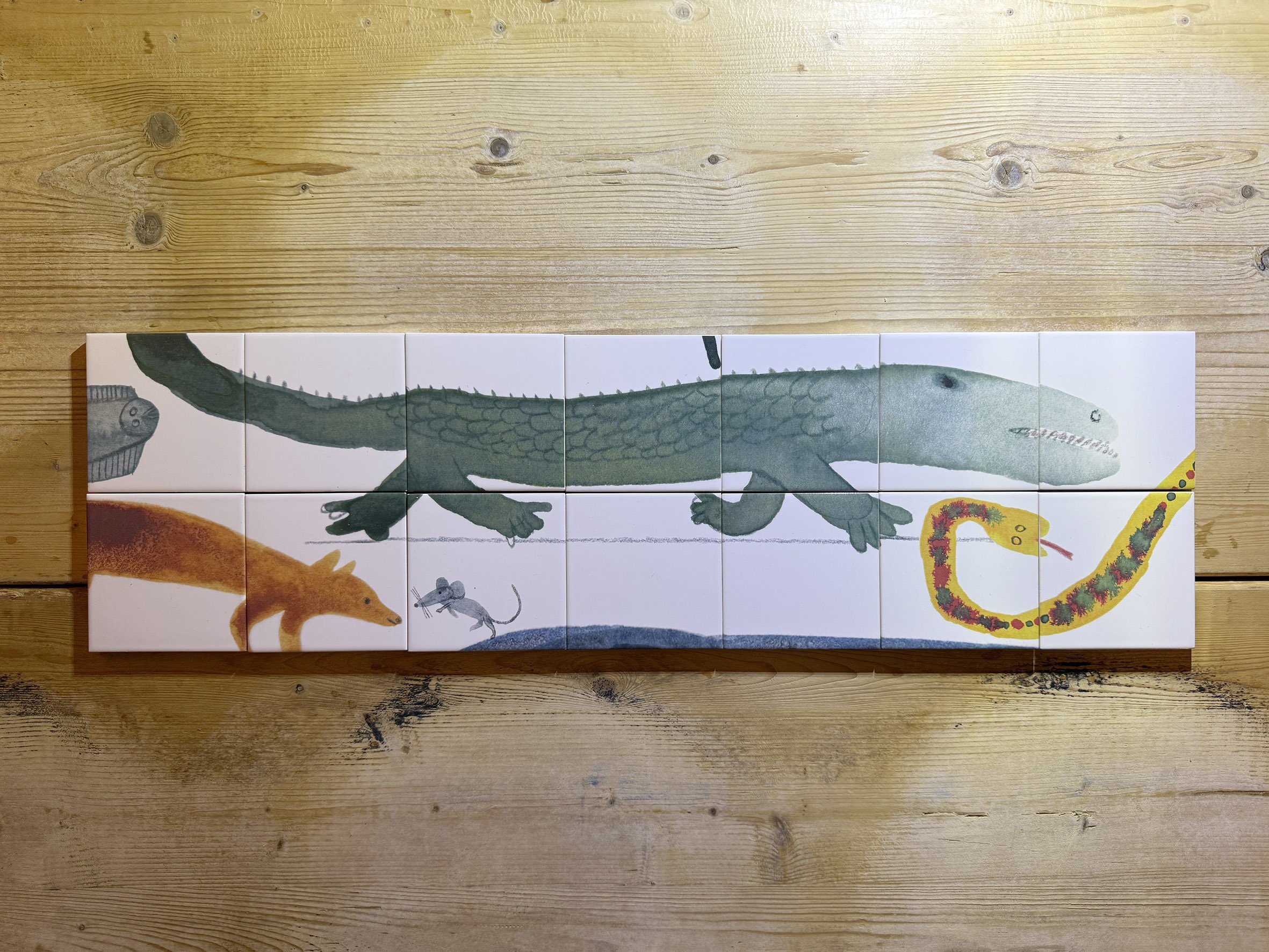 crocodile.jpeg