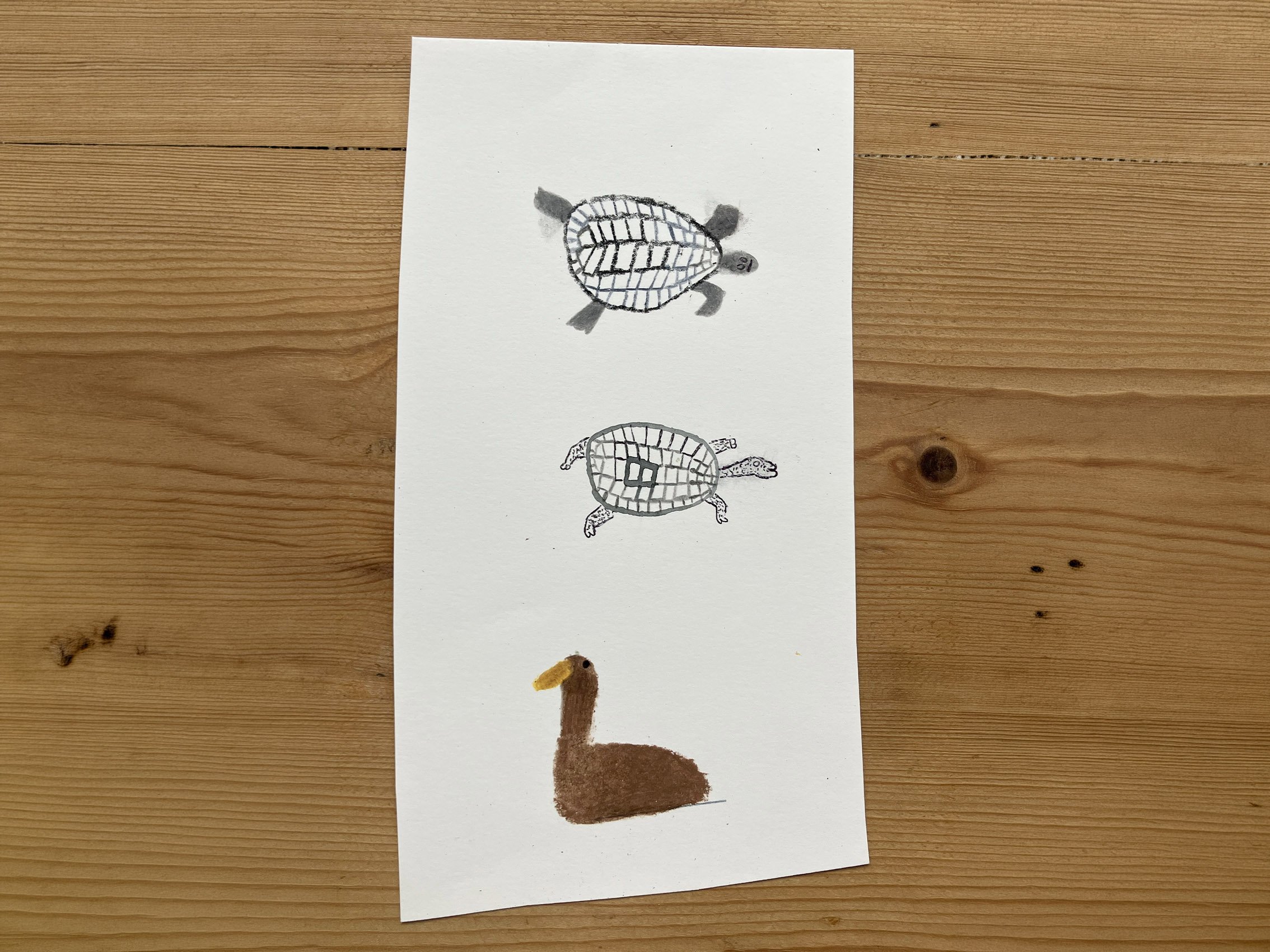 Nature_aw_0017_Duck and Terrapins - 12 x 22cm.jpg