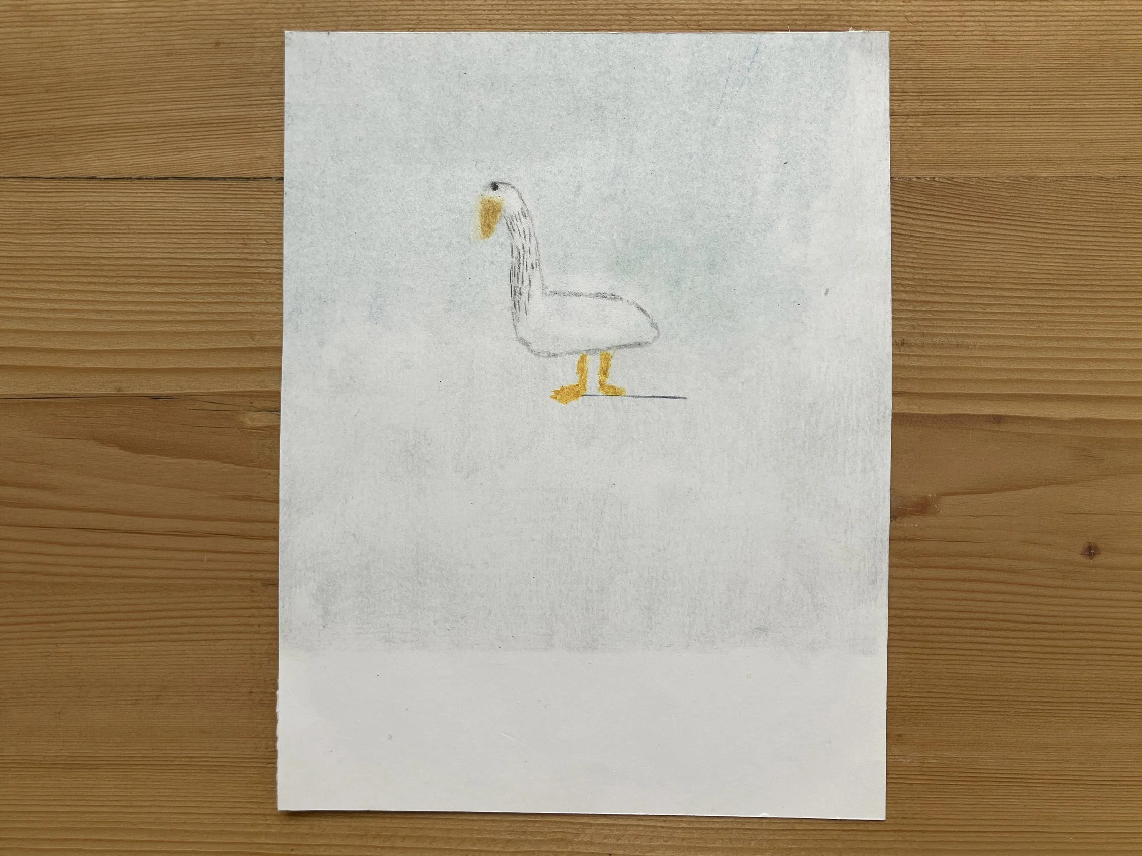 Nature_aw_0012_Goose 15 x 19cm.jpg