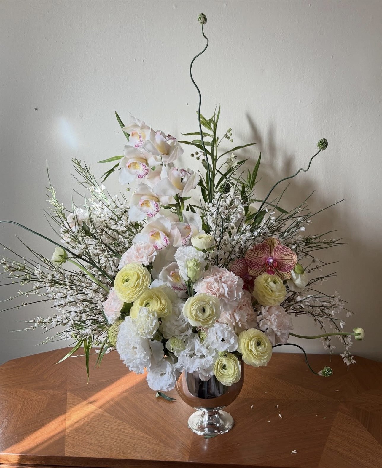 cimbidium.jpg