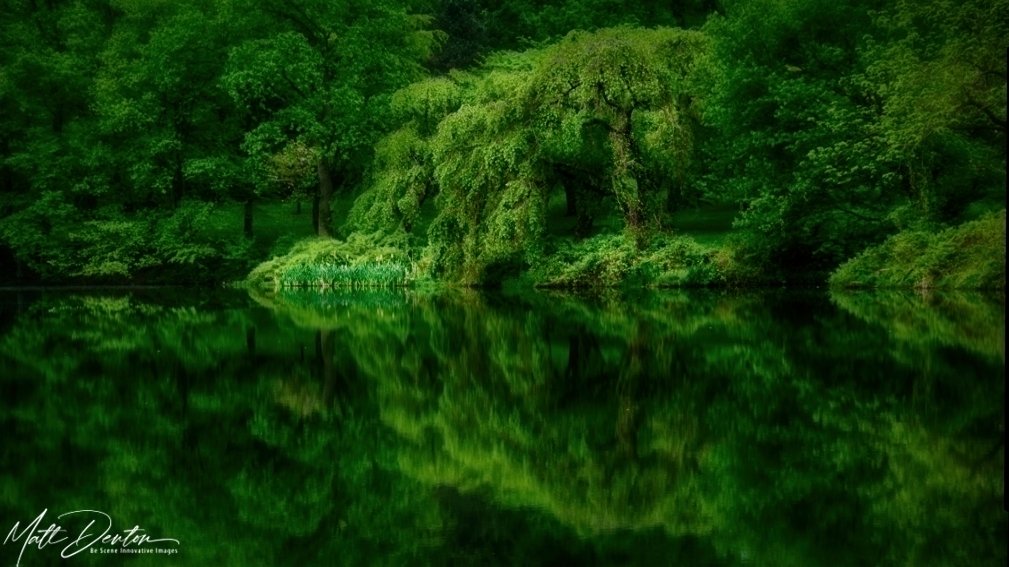 Green Spring