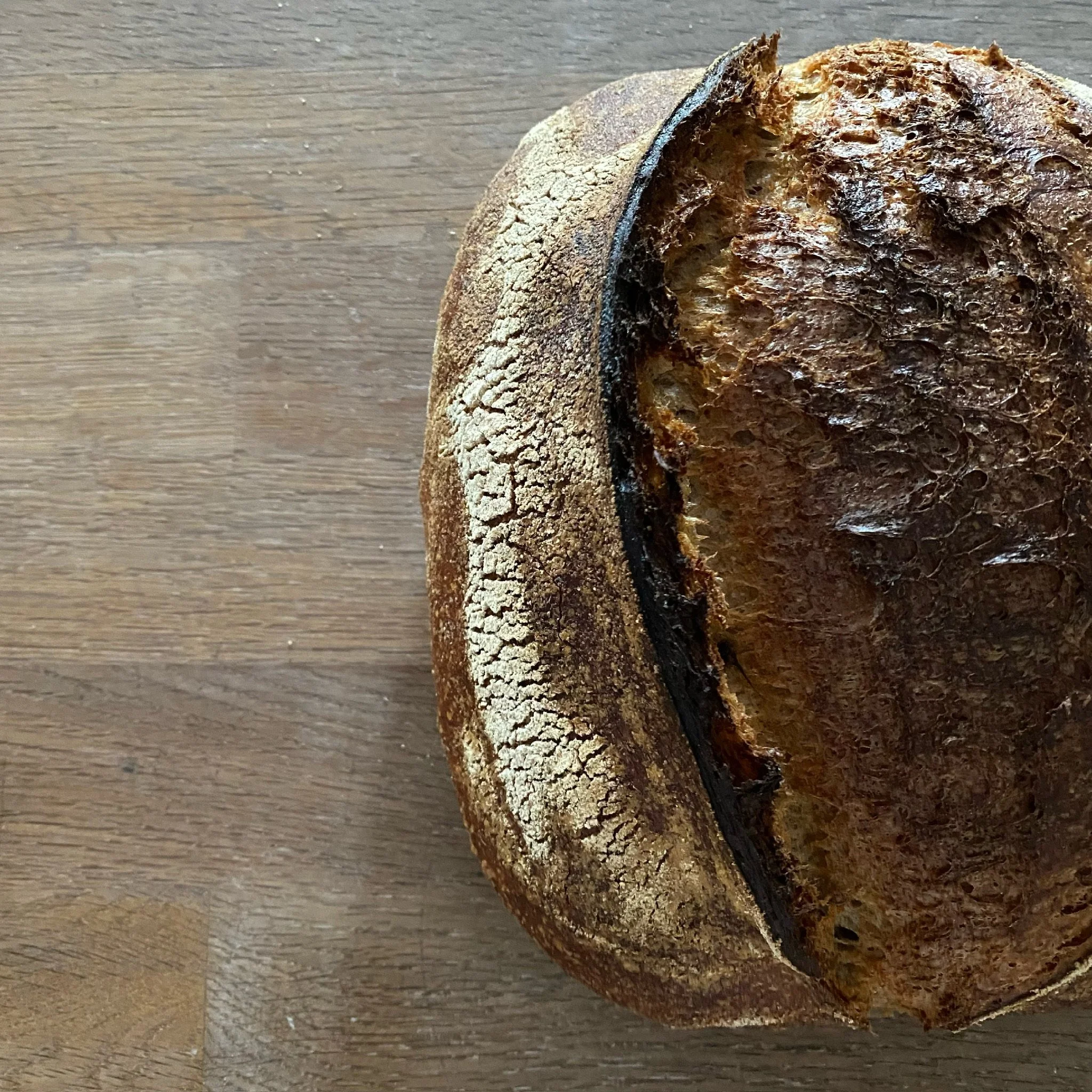 Intro to Sourdough for the Home Baker