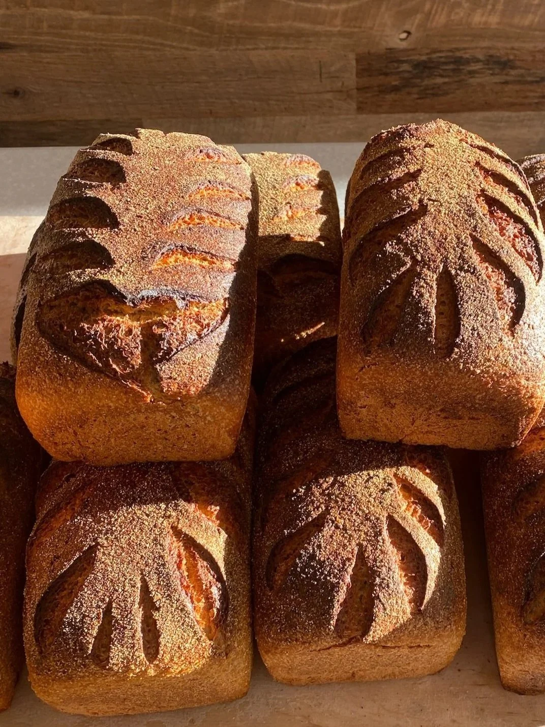 Ancient Grains Sourdough Workshop